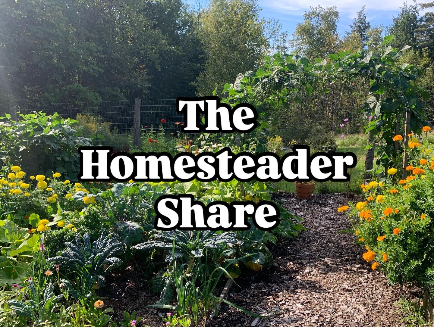 👩&zwj;🌾 The Homesteader Share 🧑&zwj;🌾 
Grow a bountiful garden of diverse veggies and herbs with our largest seedling share. All the cool and warm season plants for stocking your pantry, fridge, and freezer. Includes 25 pre-selected pots and/or p