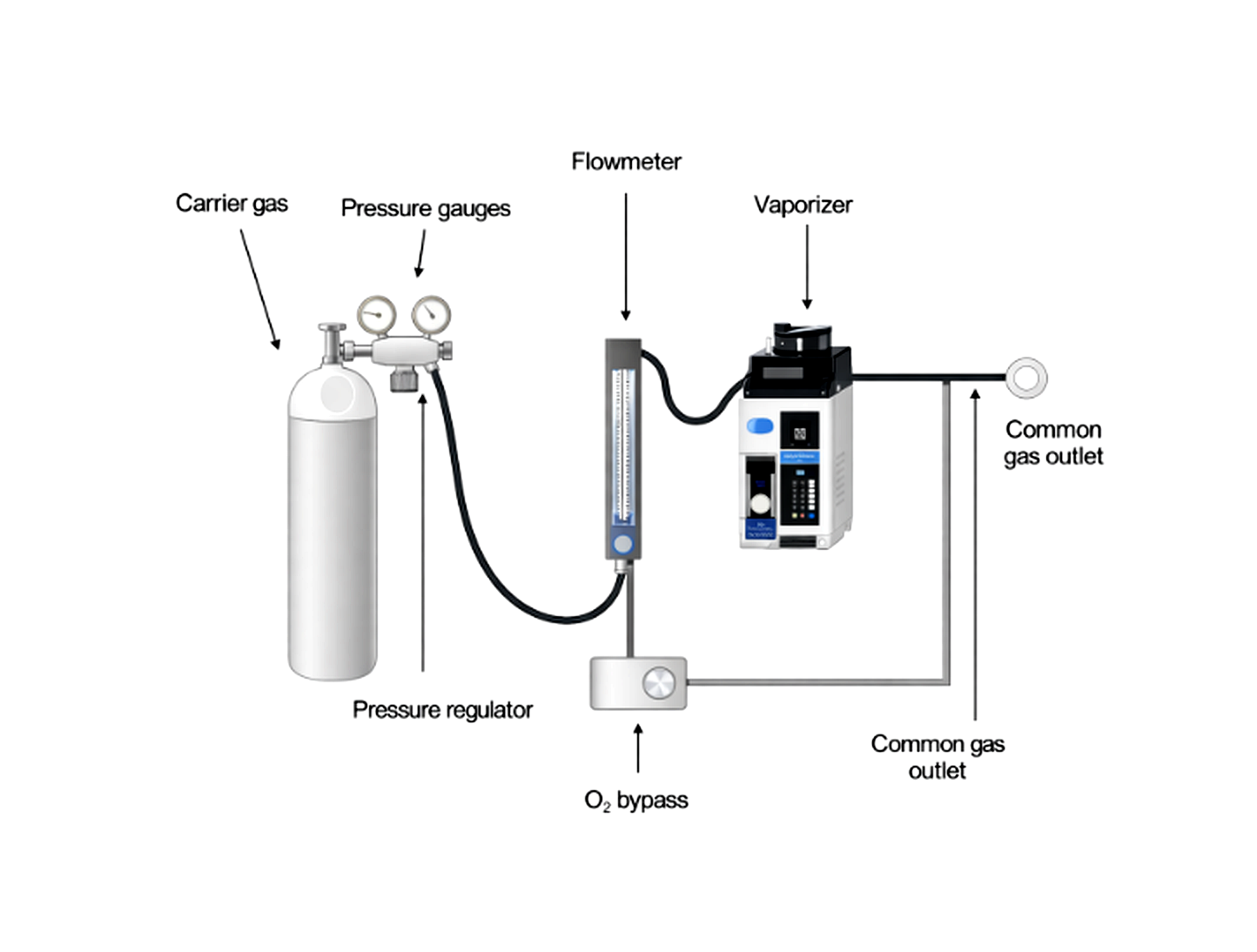 Diagram showing the anesthesia machine gas flow pathway from carrier gas cylinder through pressure regulator, flowmeter, vaporizer, and common gas outlet.