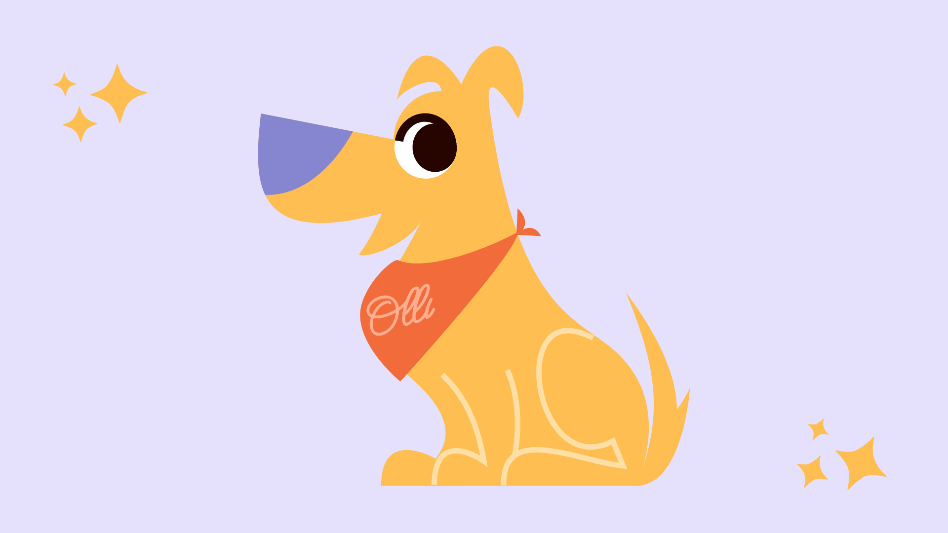 Meet Olli: Your New Companion for the CRNA Journey