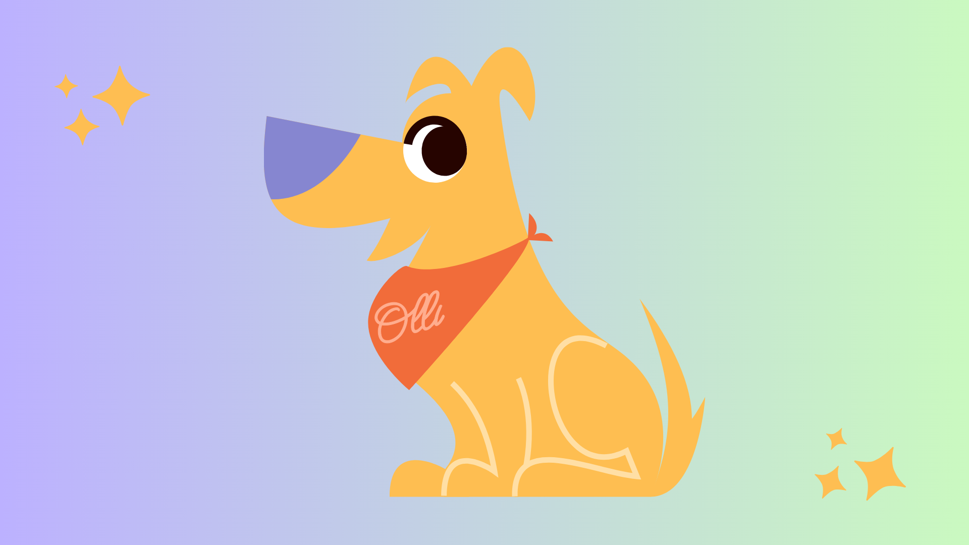 Meet Olli: Your New Companion for the CRNA Journey