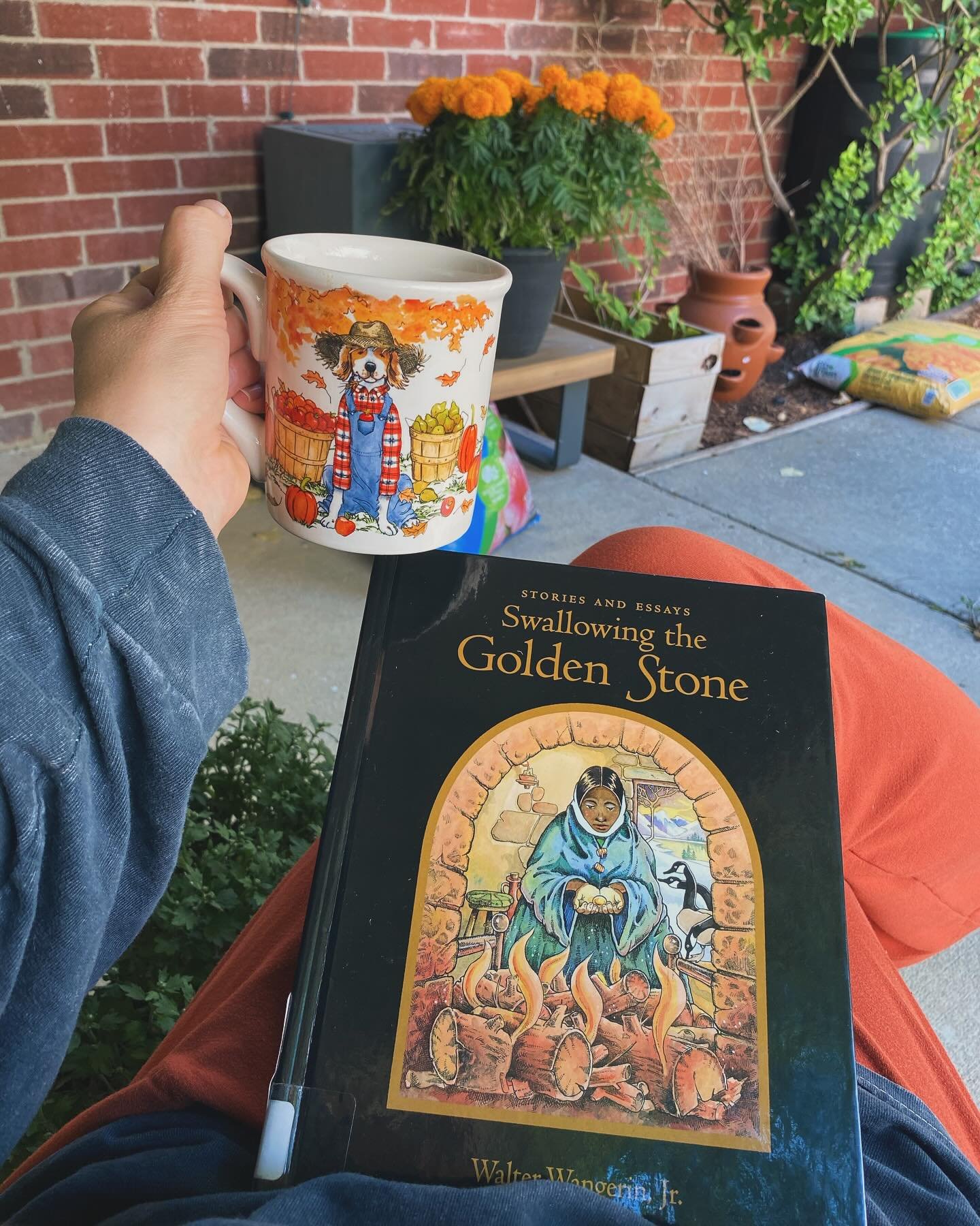 Just had the most beautiful FaceTime connection with a reader-turned-friend and sister in Christ. How edifying! Thank you @renata_decampos You are precious to me. 🤎 Now to sit with my new mug that reminds me of my childhood and Walter Wangerin Jr. T