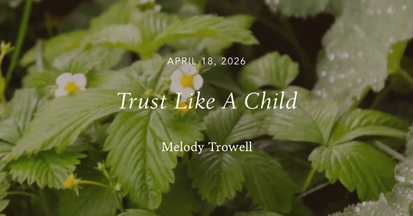 My piece for @cultivatingoakspress Spring: Renewing Trust takes you into a brief (and possibly familiar) scene from the eyes of a child. I&rsquo;d love for you to read it (it&rsquo;s short) and let me know if you can see like this child sees. ✨ 💦 li