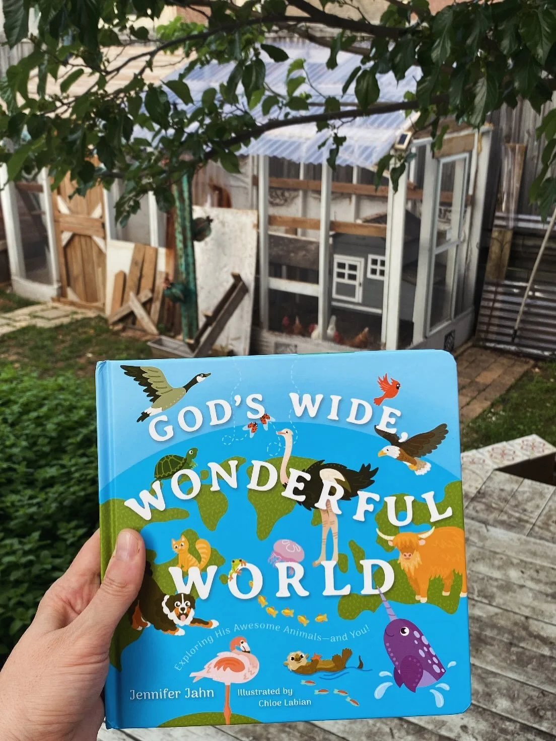 My chickens (in the background) and I have a new book for your home, school, and church! 🌎 God&rsquo;s Wide, Wonderful World by Jennifer Jahn is a vibrant, fun, Scripture-filled testament to our Maker&rsquo;s beautiful Creation! What a glorious and 