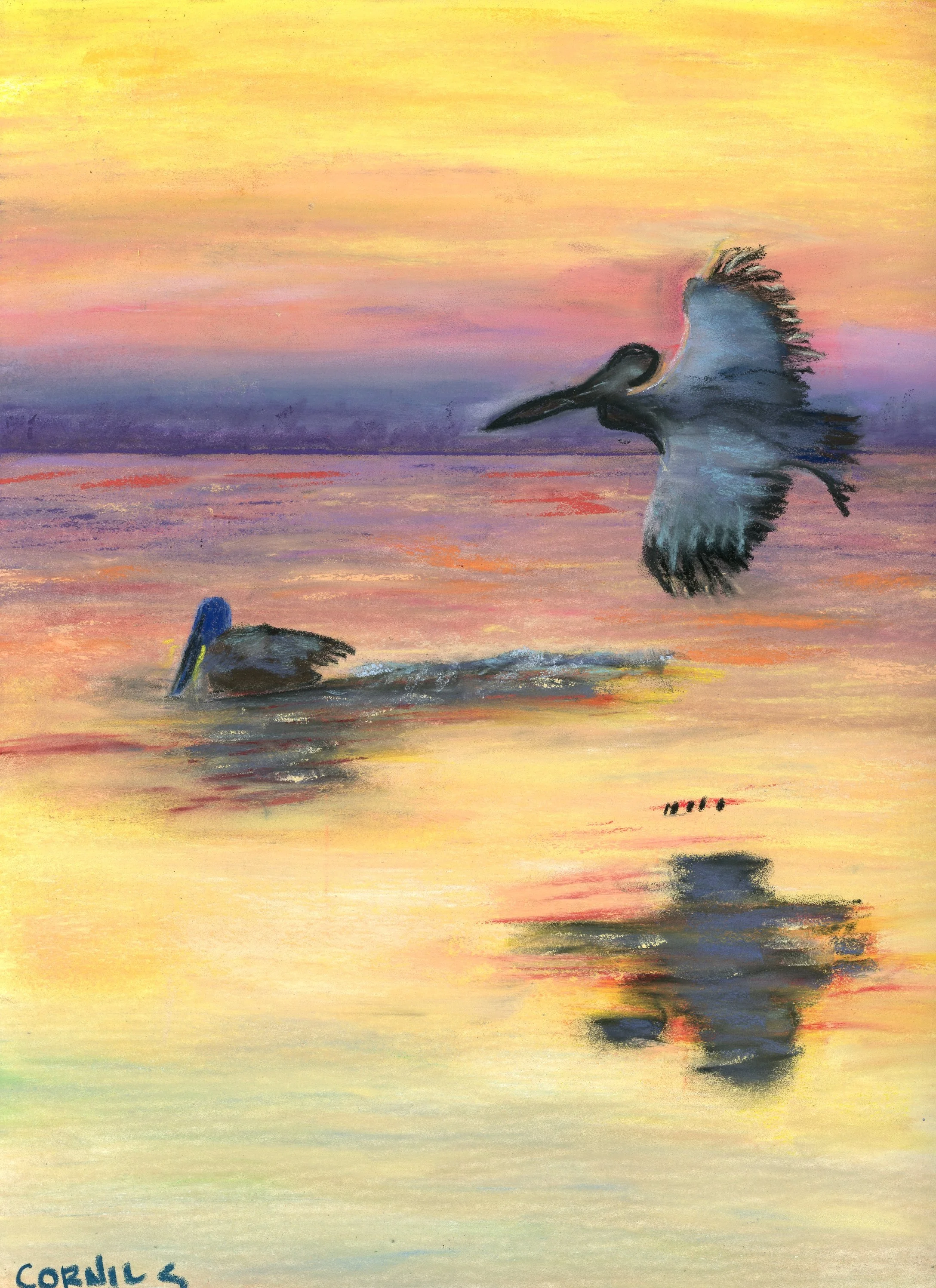 two pelicans on water009.jpg