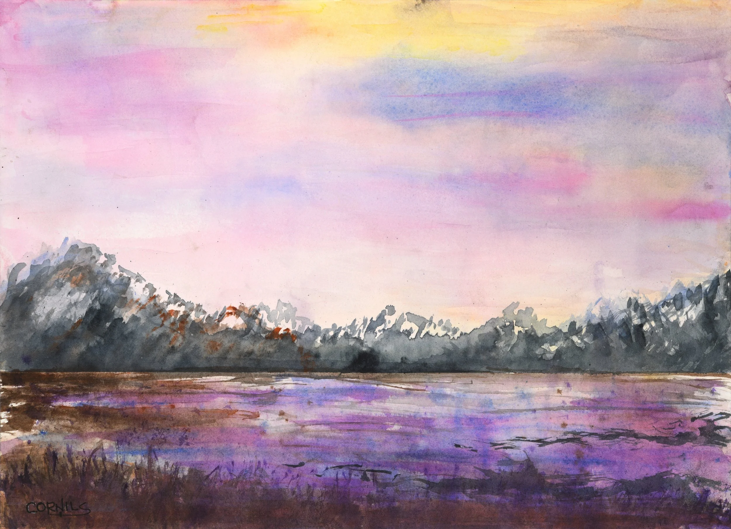 Meridian Fine Arts Festival