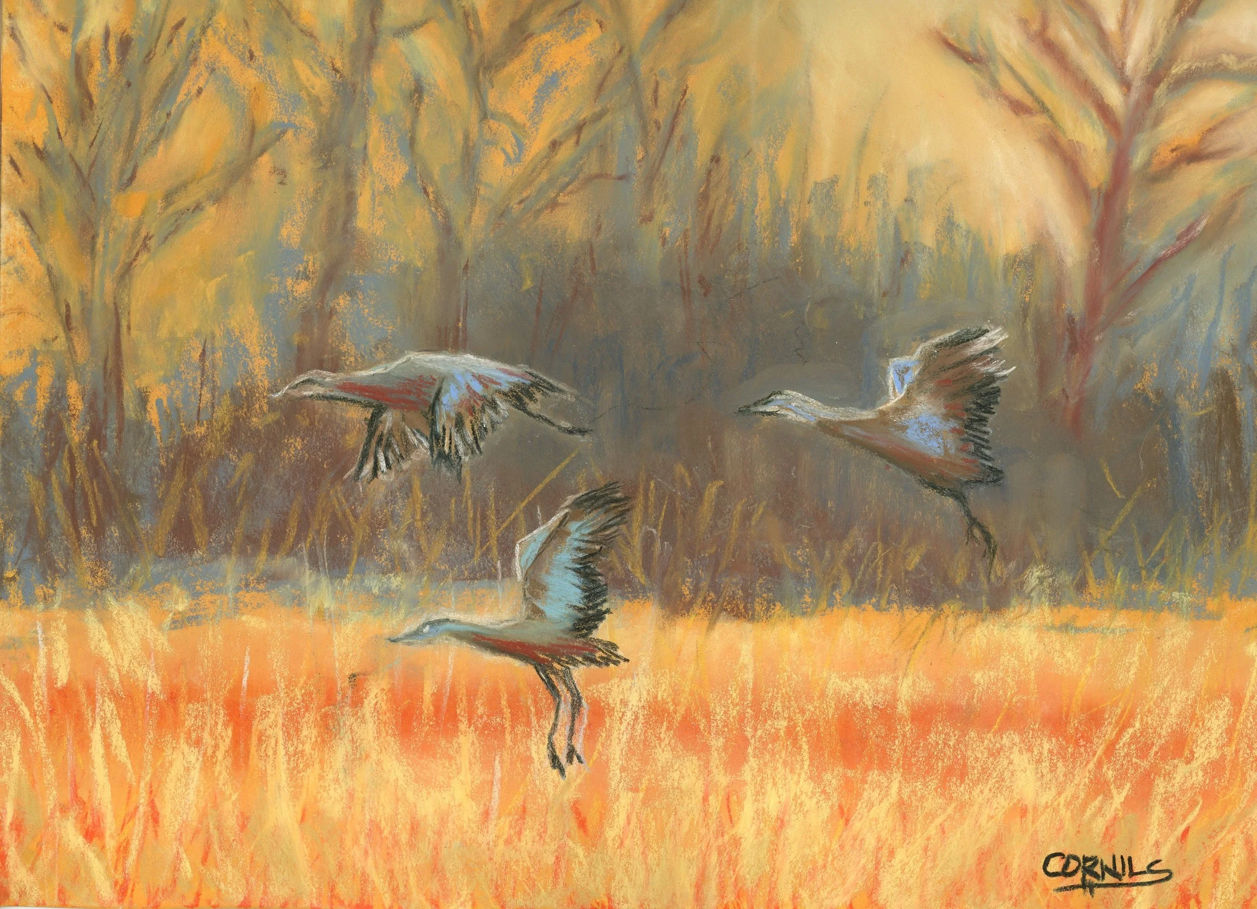 orange toned cranes signed.jpg