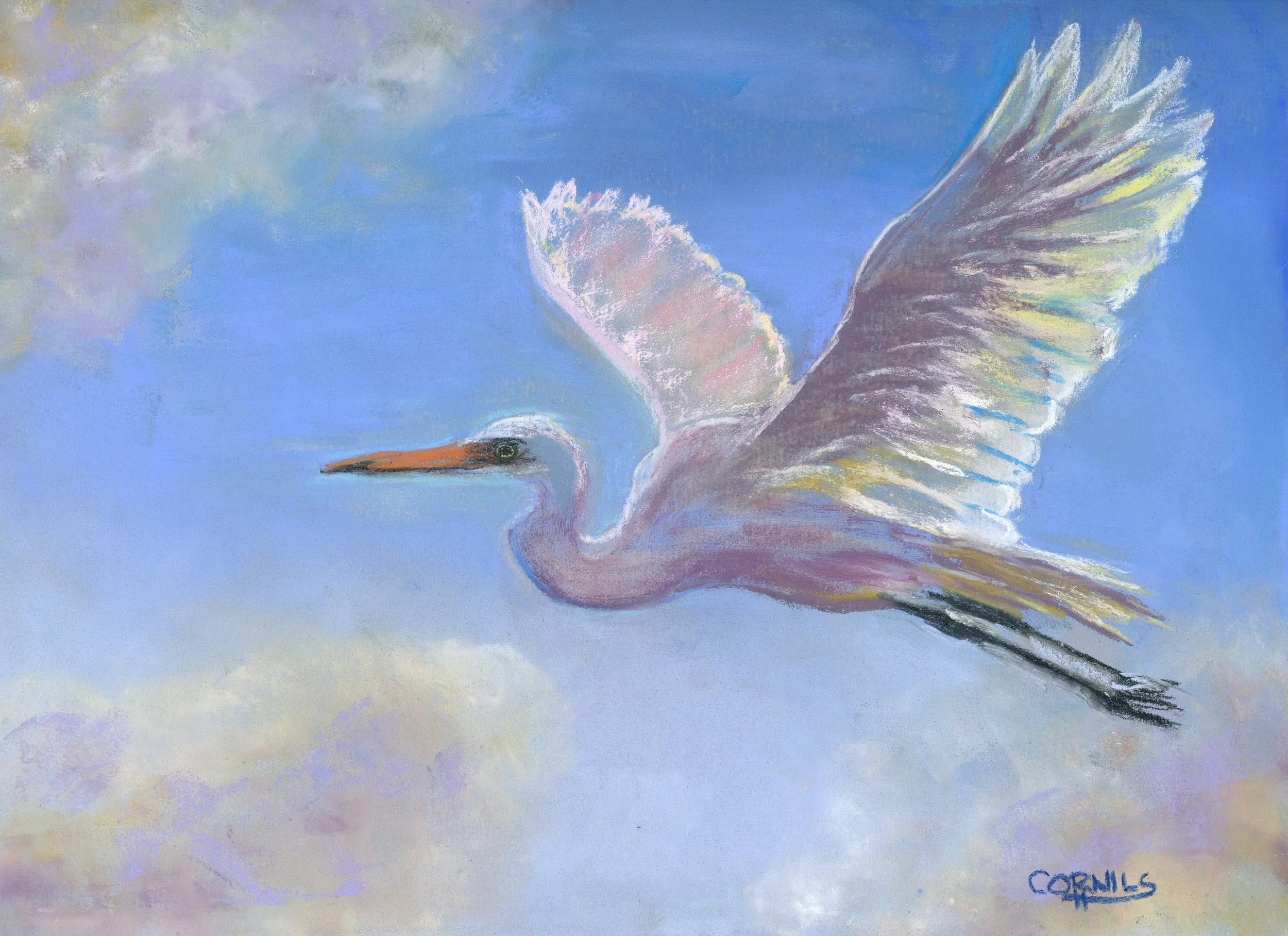 signed Egret flying.jpg