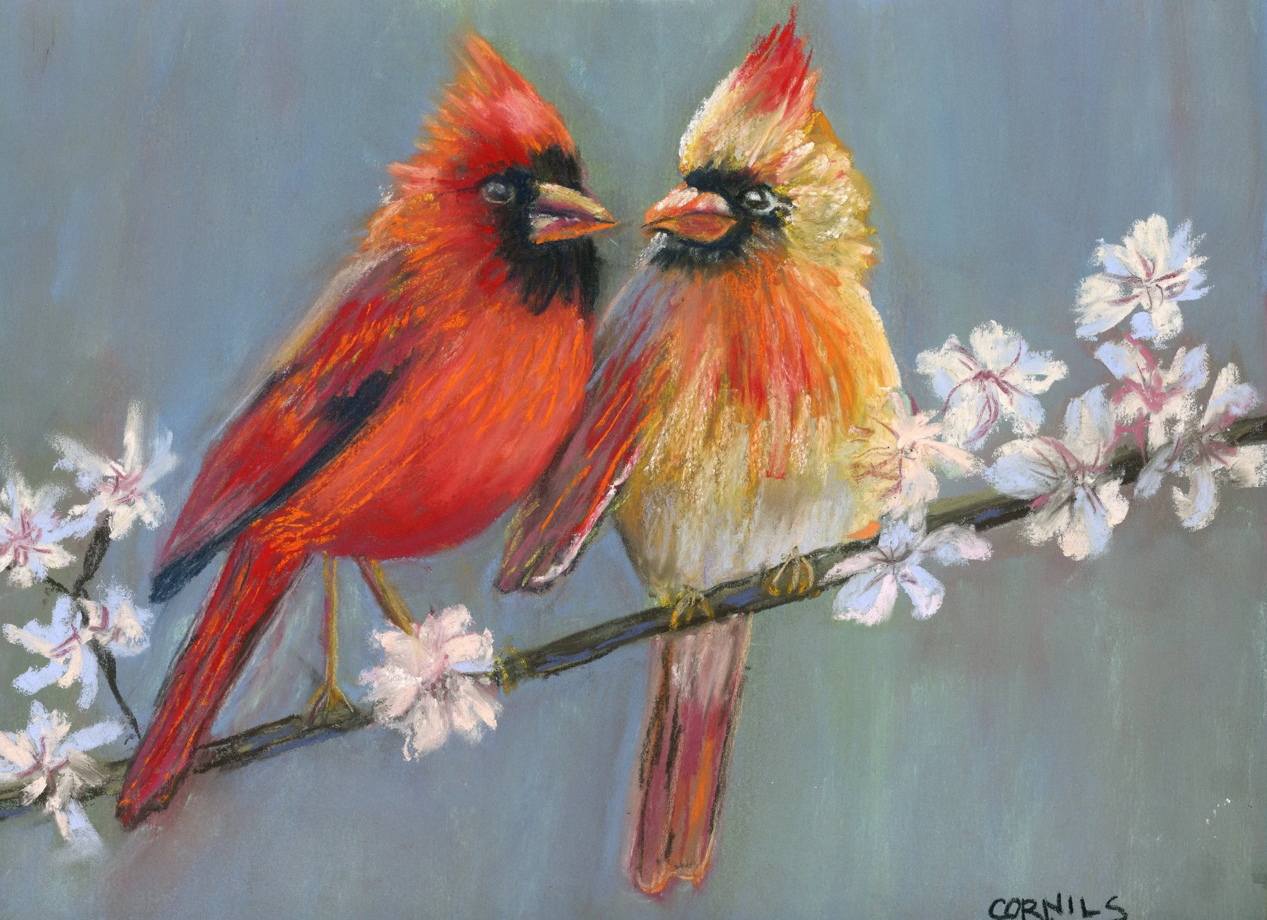 male and female cardinals in spring