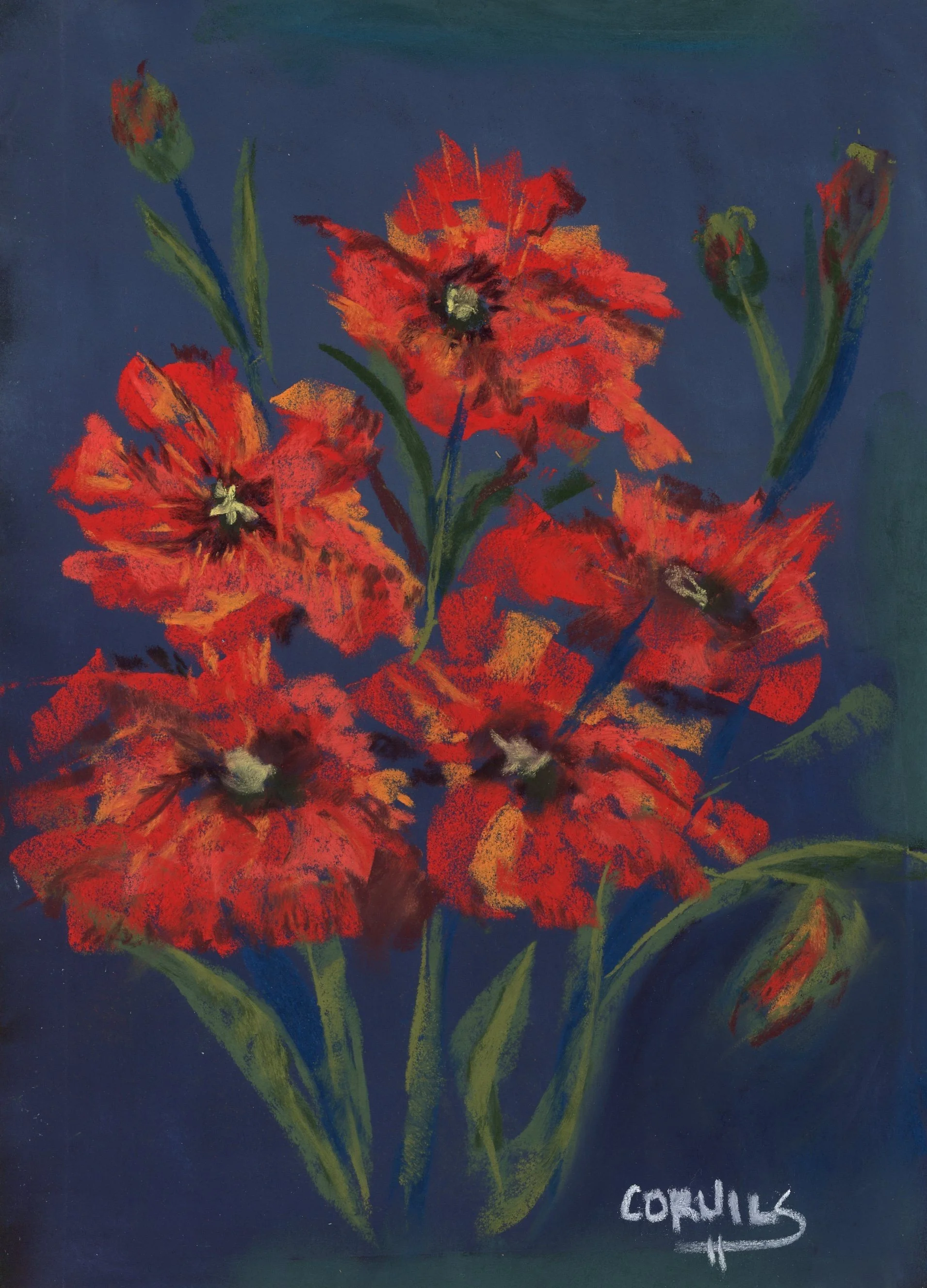 Italian Poppies052.jpg