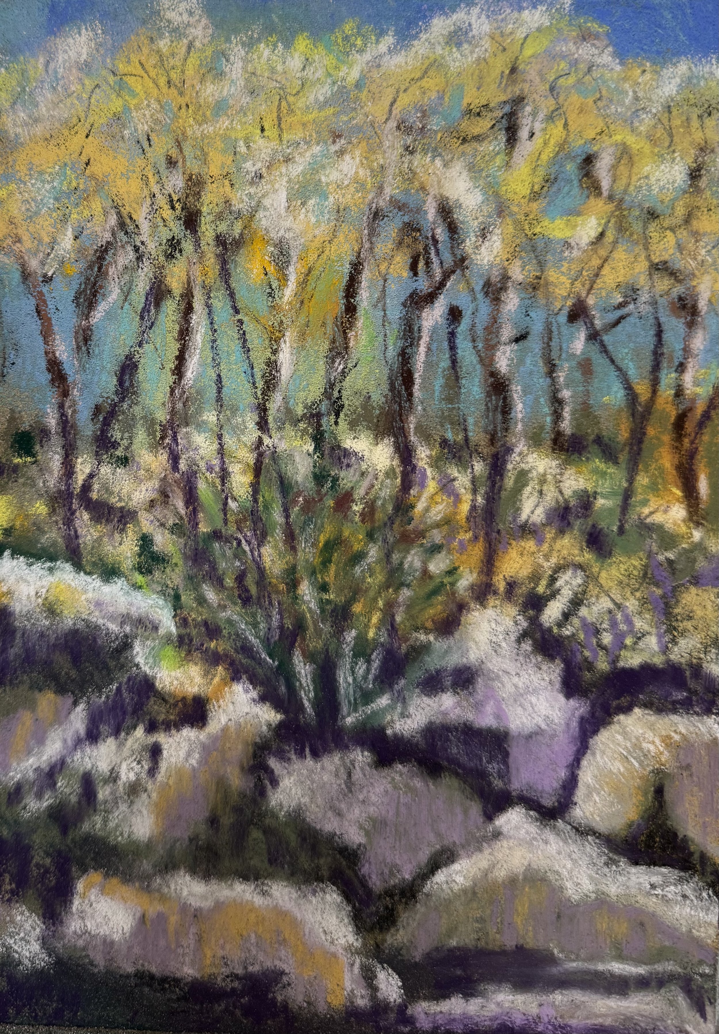 sennelier demonstration.jpg