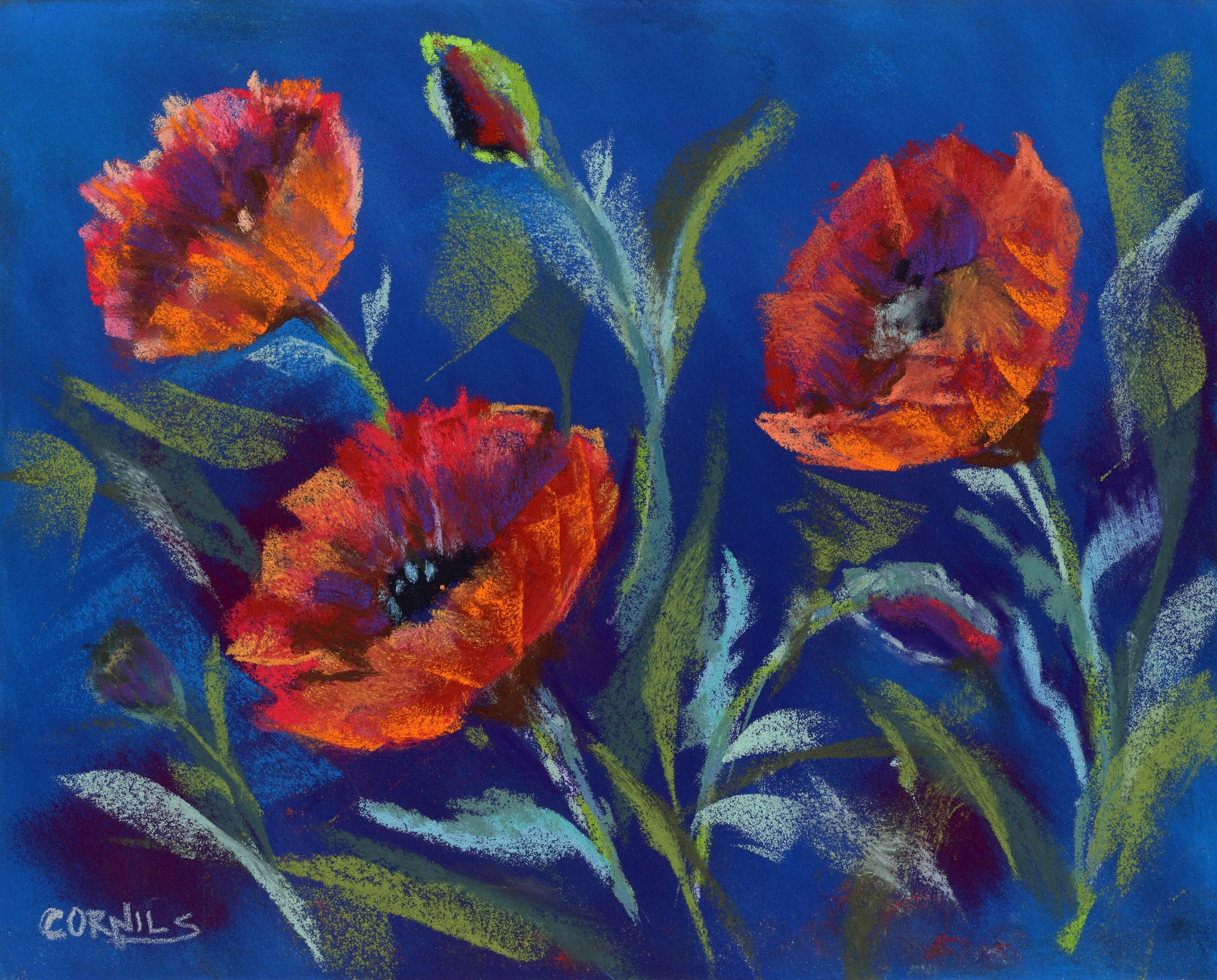 Red poppies on blue.jpg