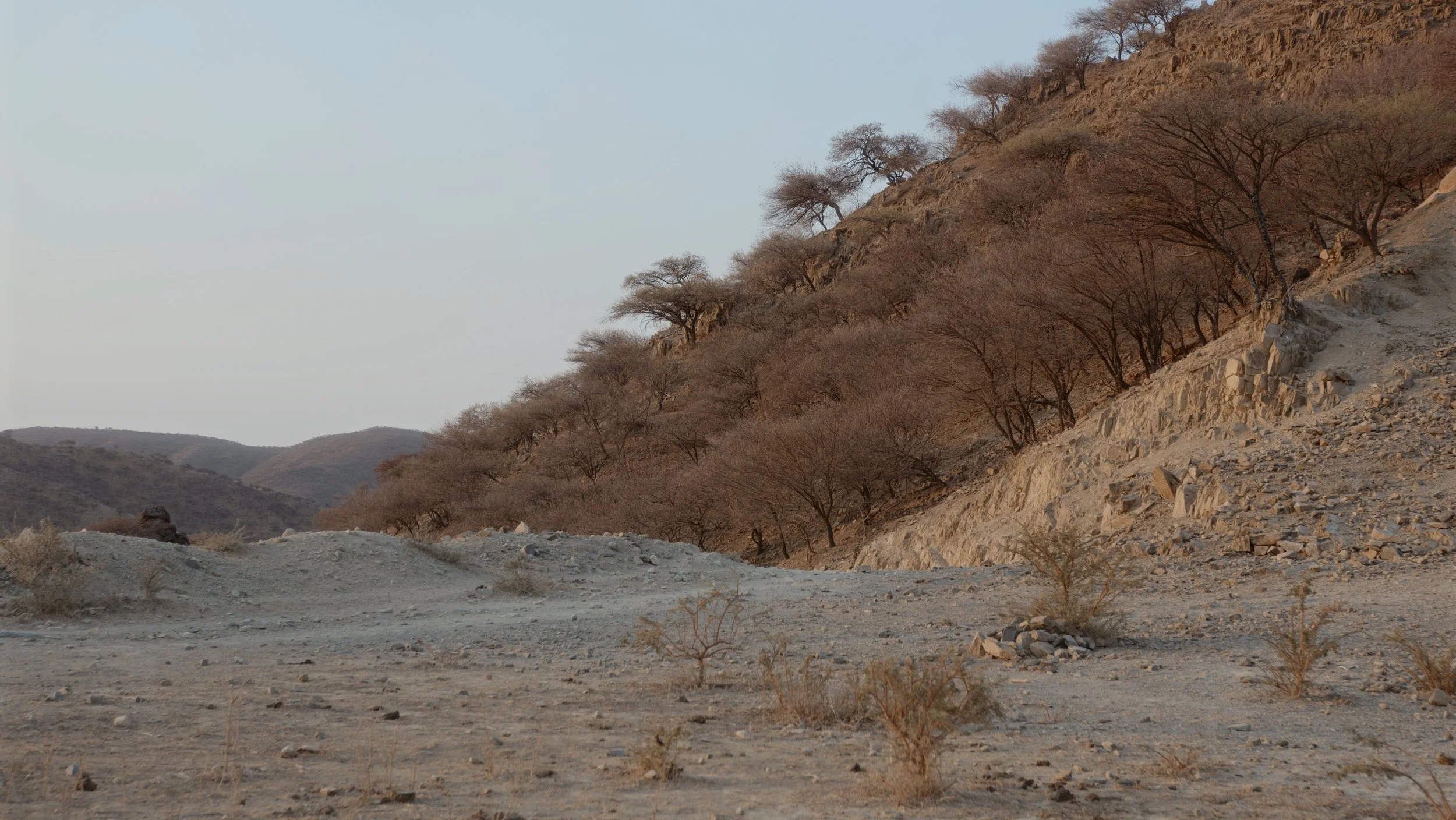 Futsum Tsegai_06.jpg