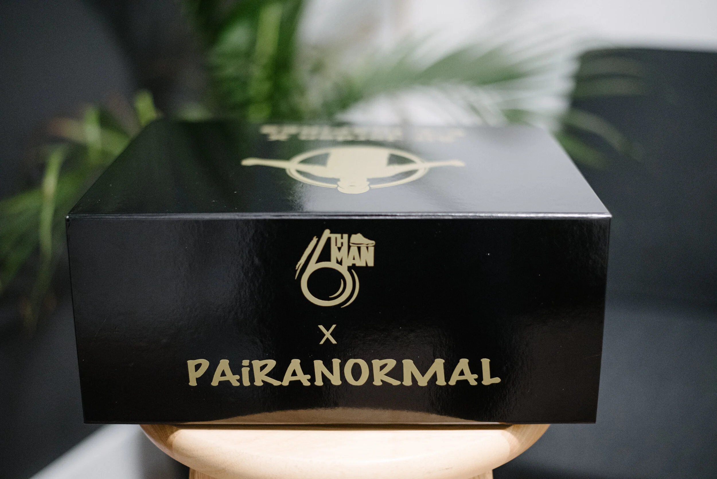 Black rectangular box with gold lettering that says '14 MAN x PAIRANORMAL' rests on a small wooden table, with green leaves in the blurry background.