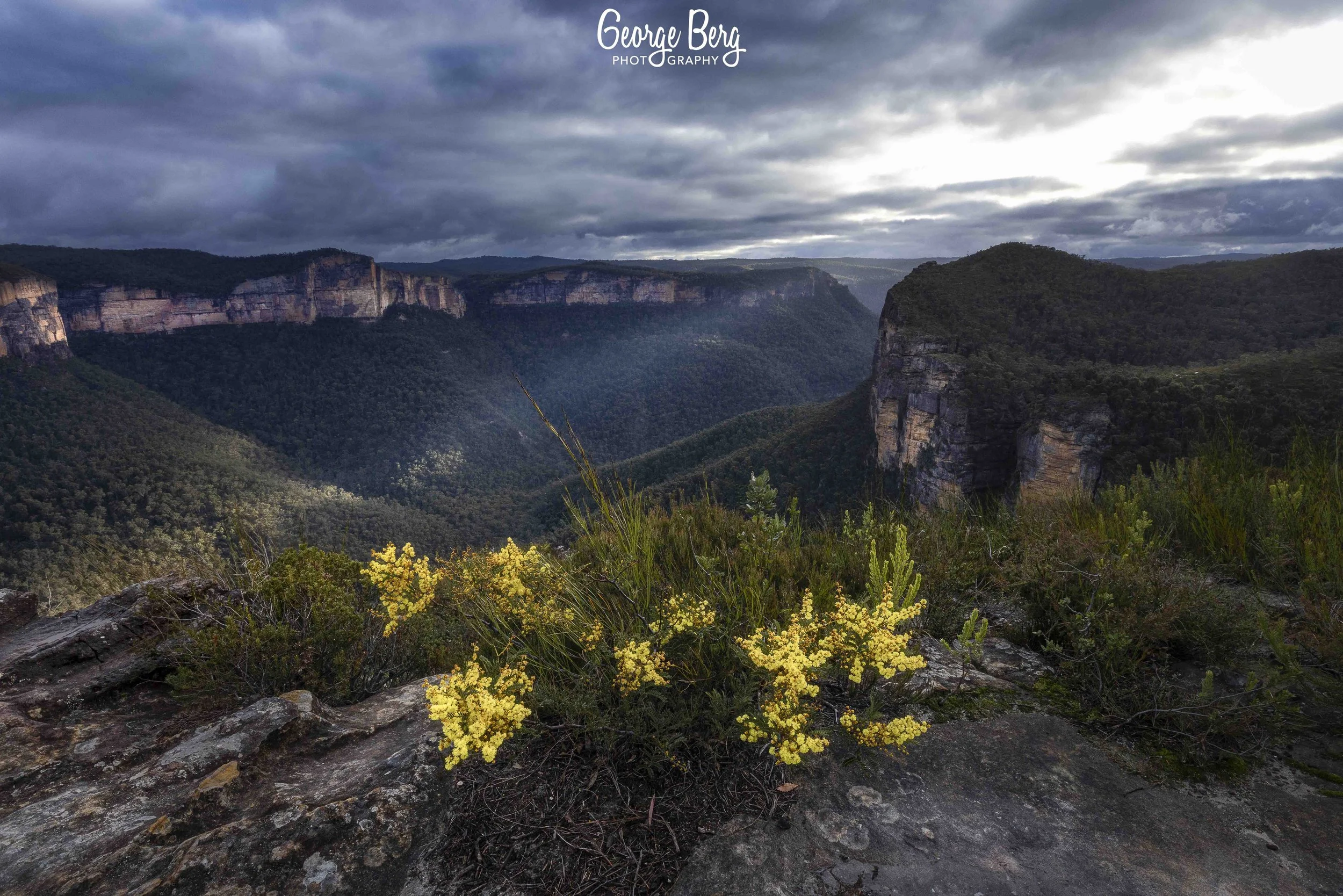 0B9A1457-Edit.jpg