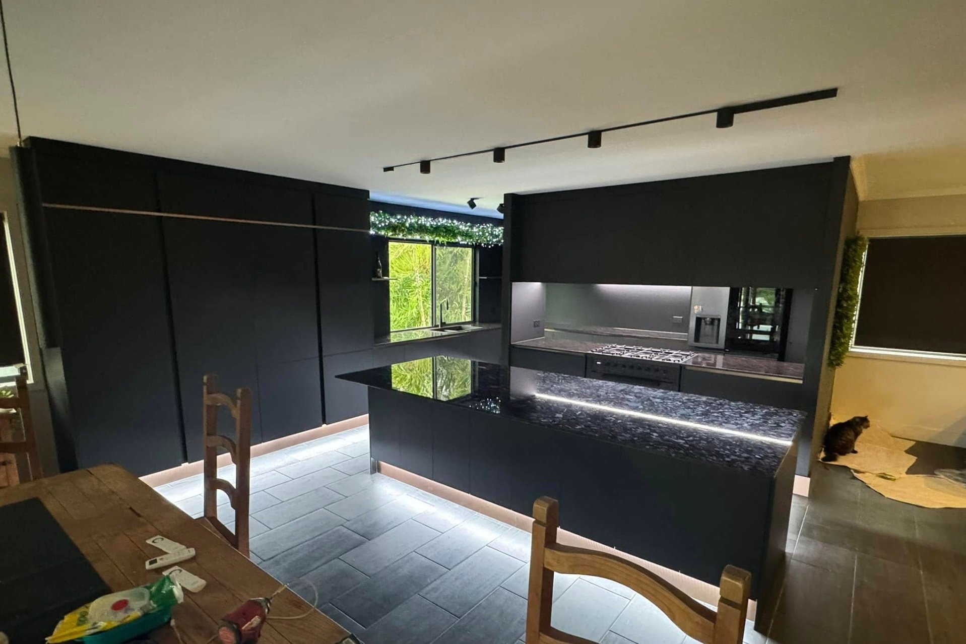 Modern kitchen with black cabinets, an island with a glossy countertop, built-in stove, and track lighting on the ceiling. A cat is seen near a window with green plants visible outside.