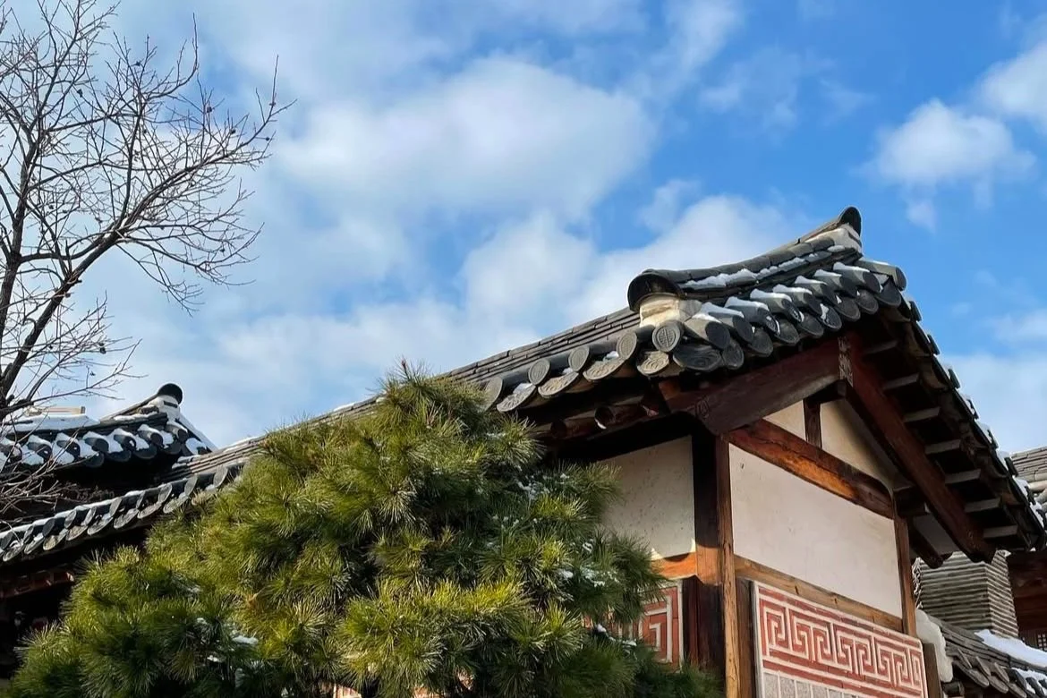 Life Update: 안녕 Korea