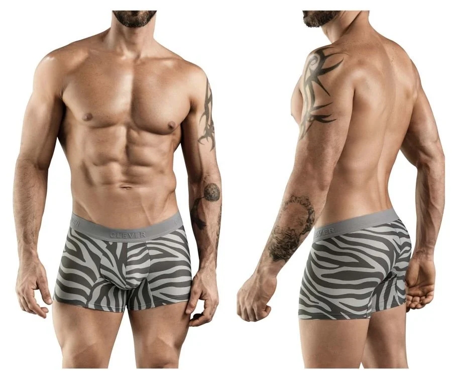 Clever_1800_Gray_1.jpg