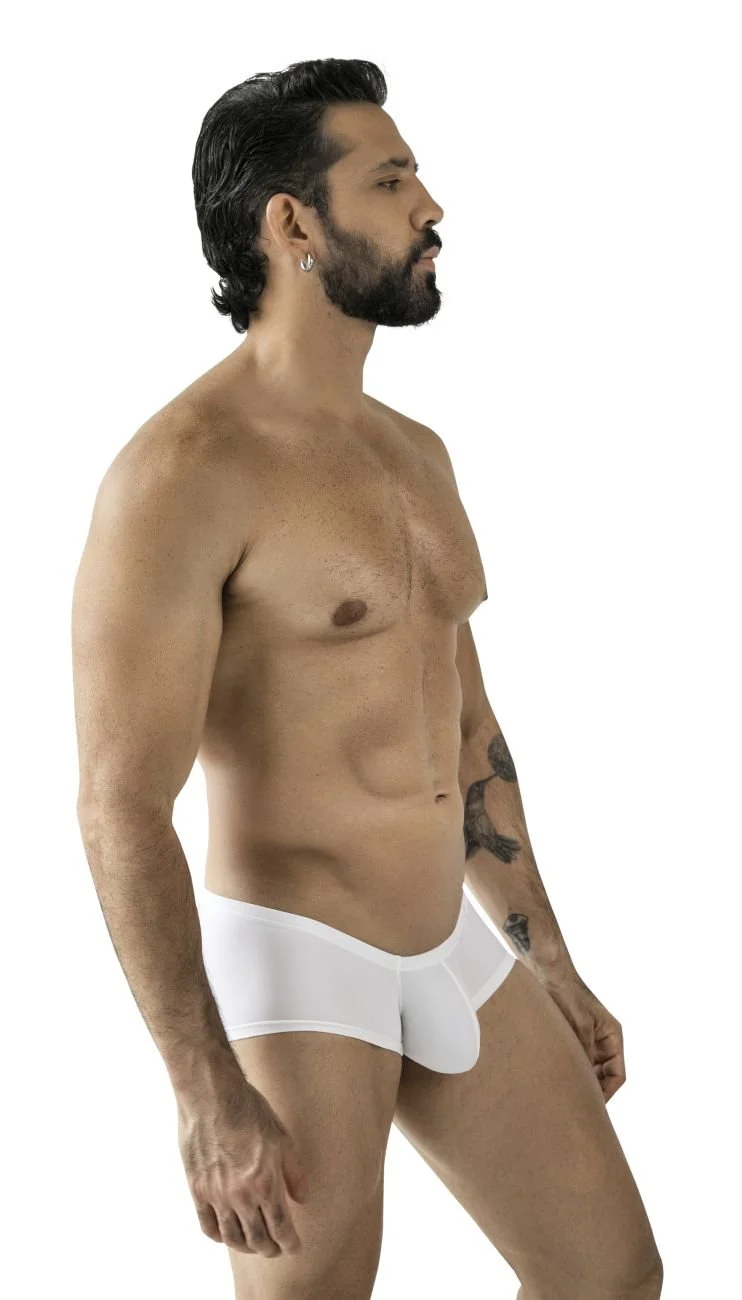 Clever_229964_Multi-colored_1 (1).jpg