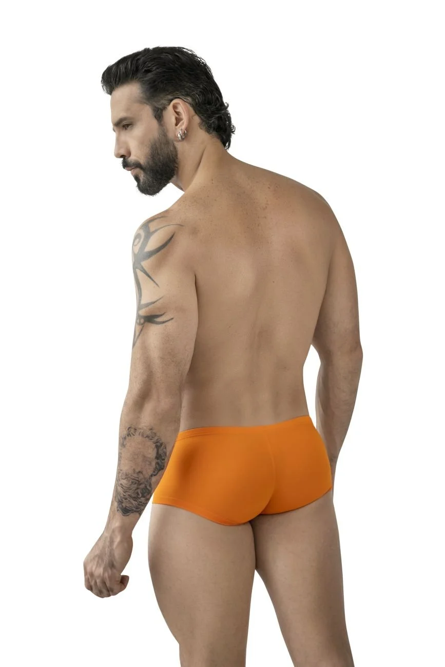 Clever_229959_Multi-colored_2 (1).jpg