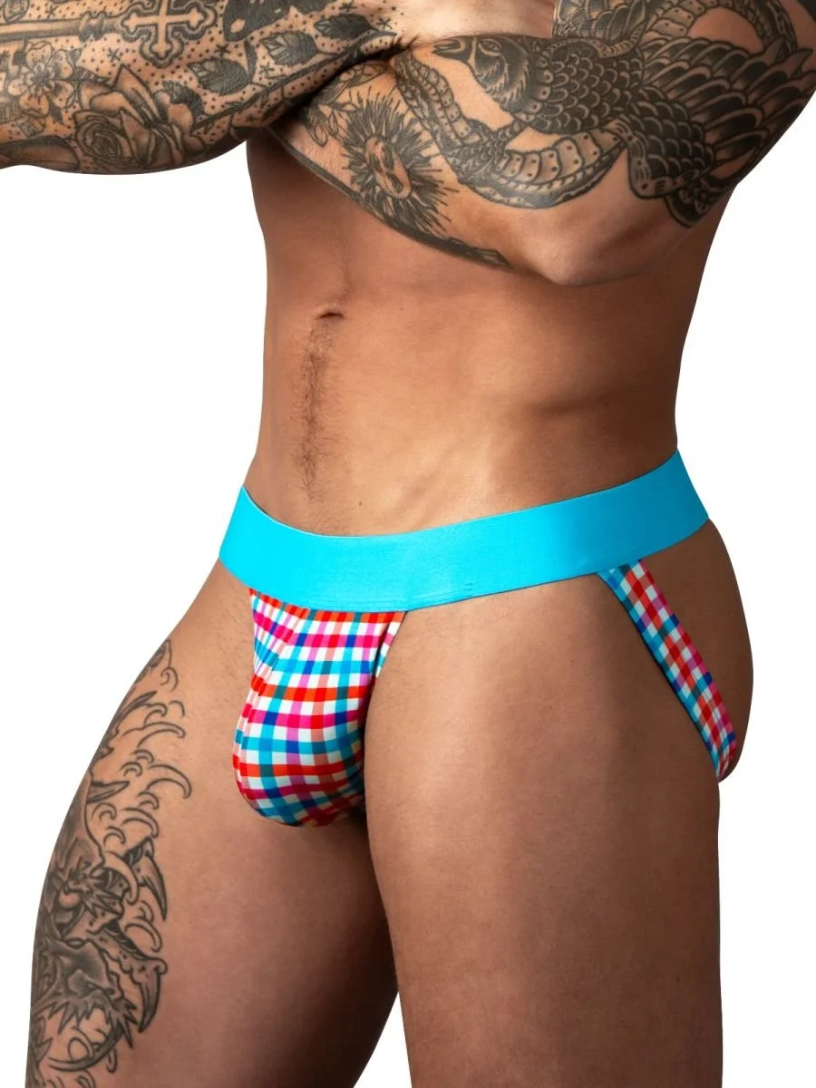 Male Power_349-306_Gingham Print_1 (1).jpg