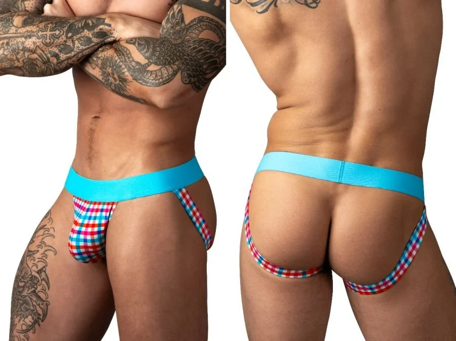 Male Power_349-306_Gingham Print_1.jpg