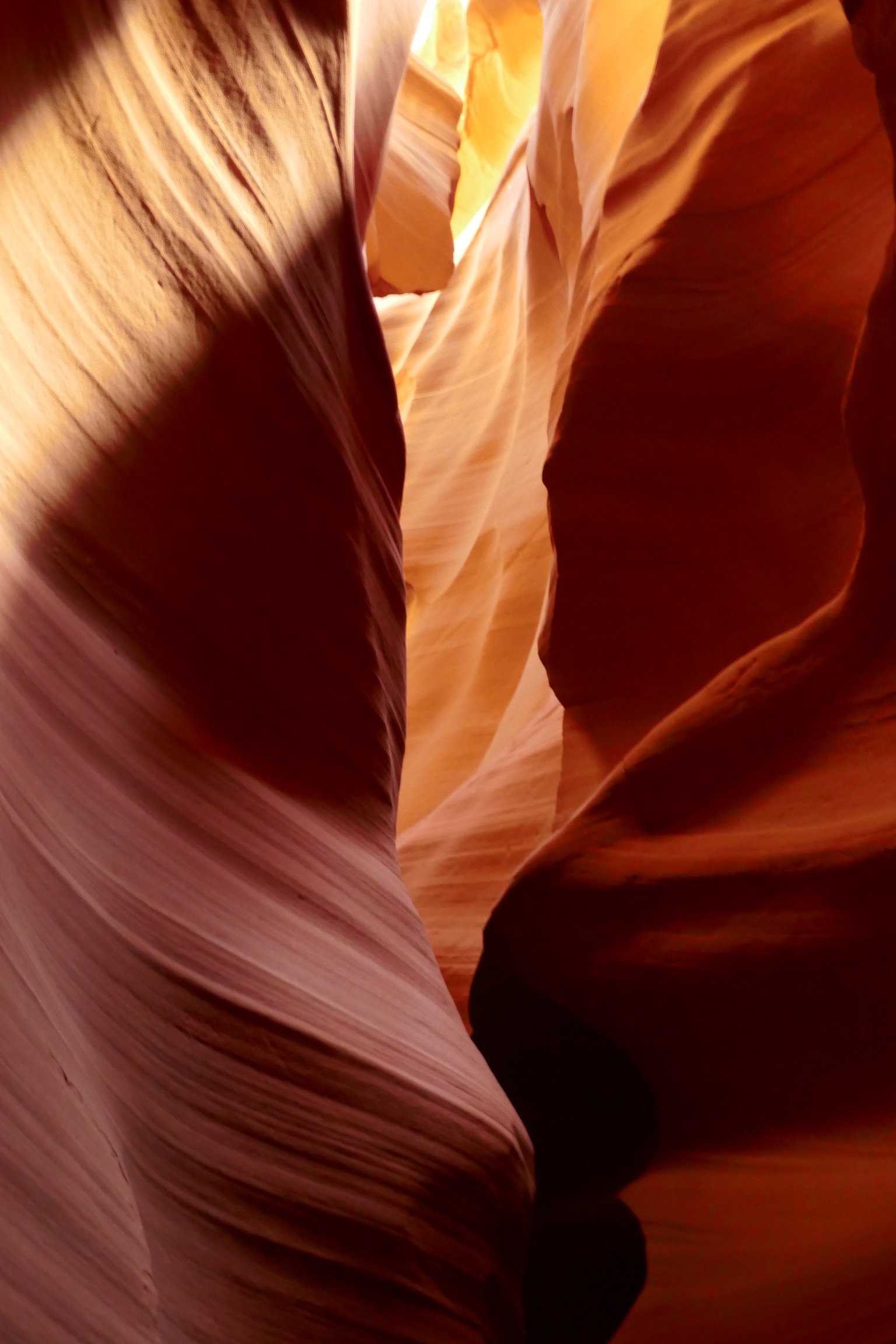 A1FE4223-F843-4B62-8F8A-78C06C5D7C32.jpeg