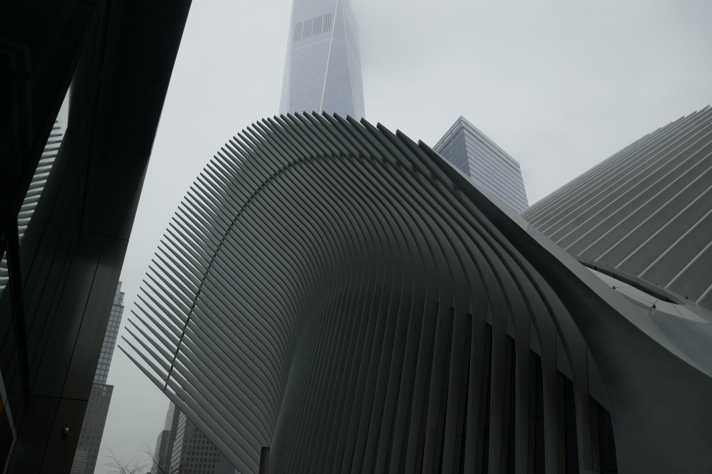 39A2A957-30E6-4962-B5AC-3AFD0E305BB6.jpeg