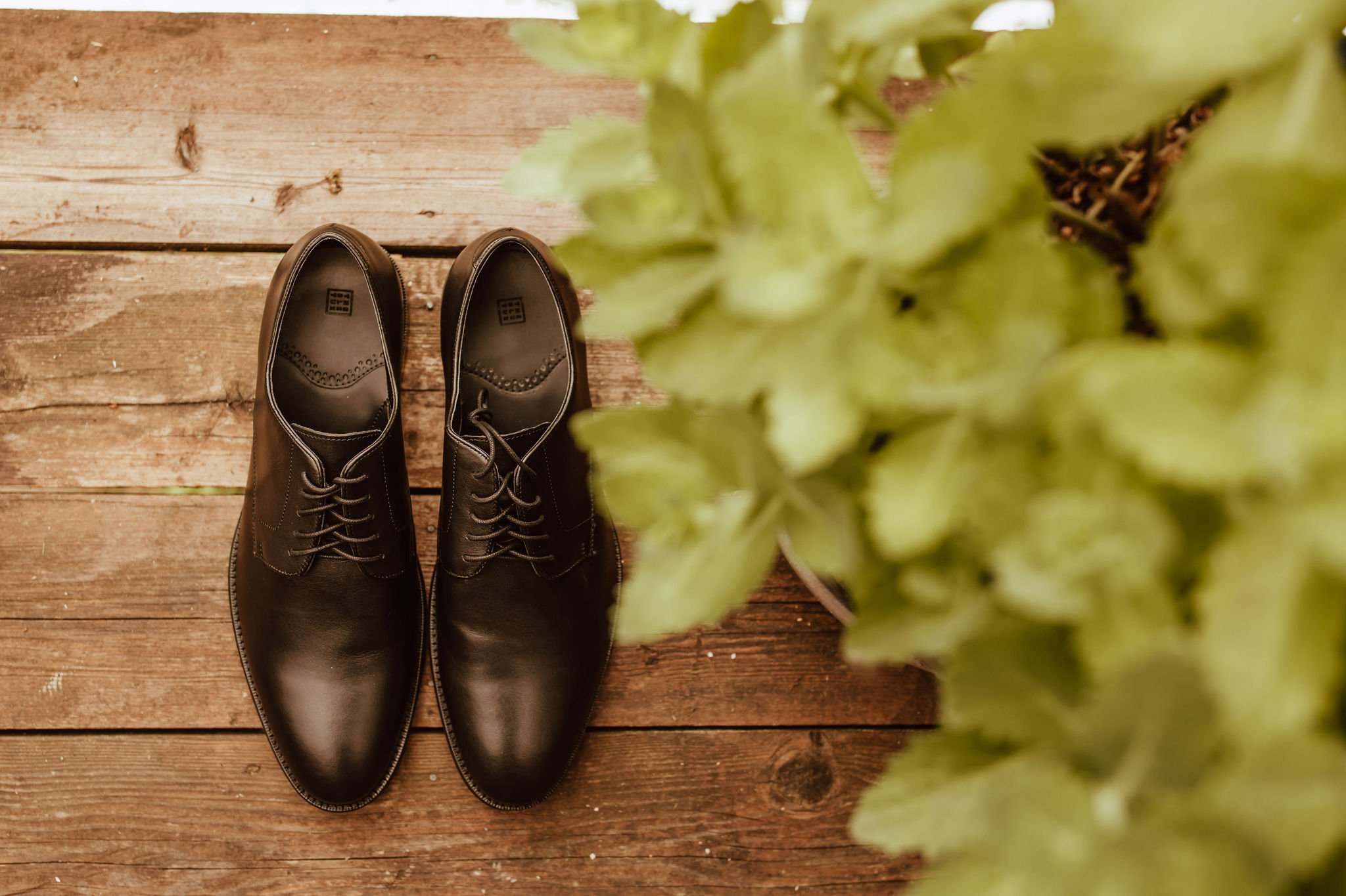 Oregon Coast Wedding and Elopement Photographer Shannon Weiss Photo (20).jpg