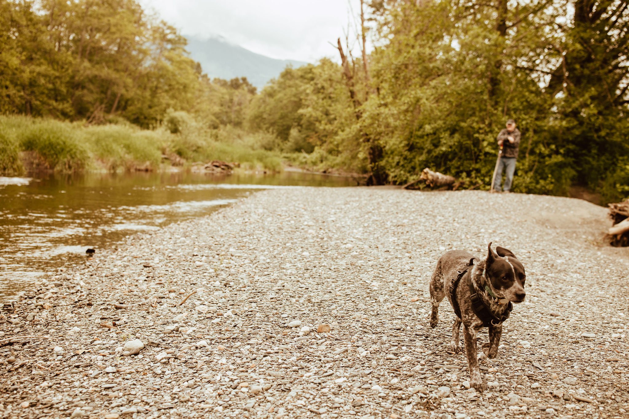 Oregon Coast Wedding and Elopement Photographer Shannon Weiss Photo (27).jpg