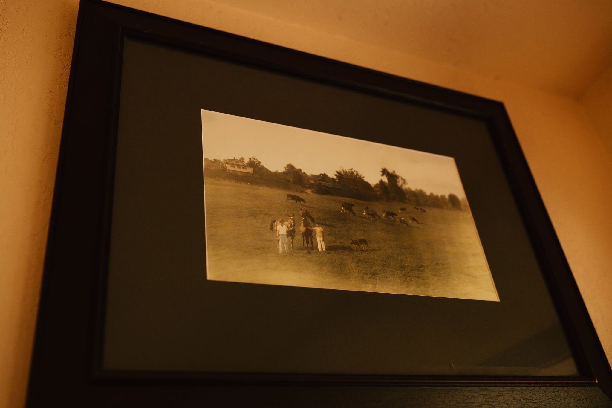 Oregon Coast Wedding and Elopement Photographer Shannon Weiss Photo (73).jpg