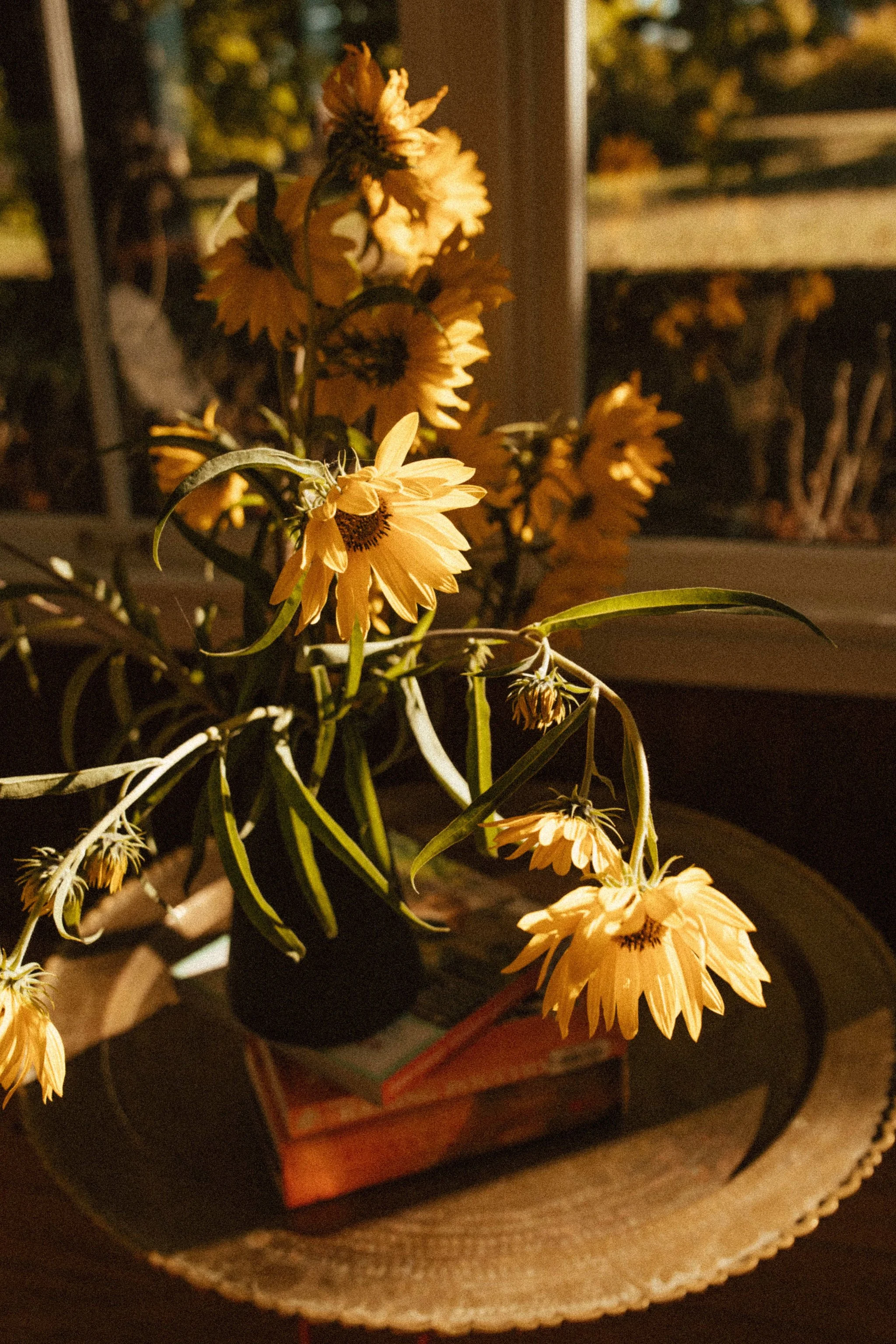 Portland Oregon Family and Maternity Photographer Shannon Weiss (5).jpg