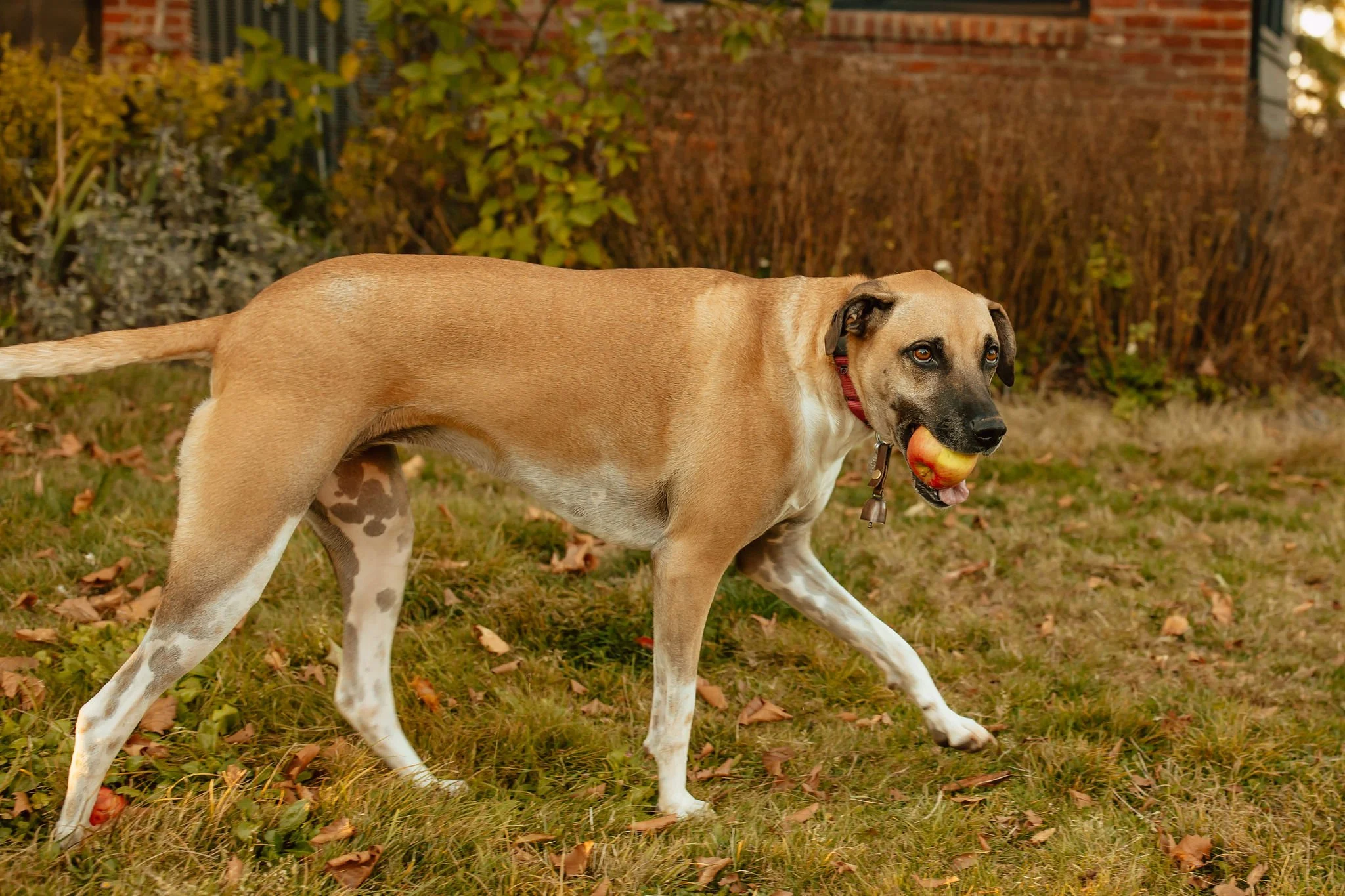 Portland Oregon Family and Maternity Photographer Shannon Weiss (23).jpg