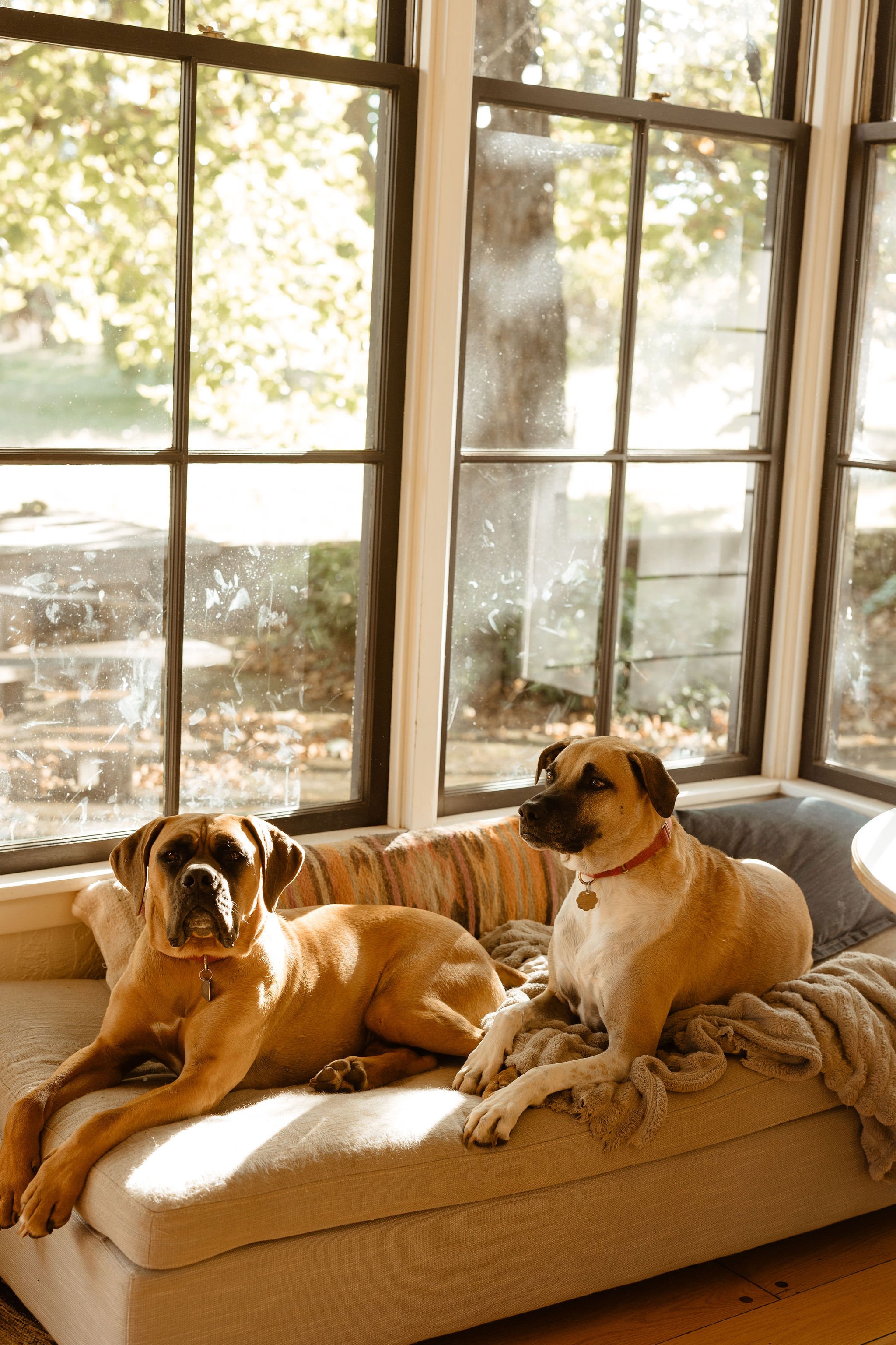 Portland Oregon Family and Maternity Photographer Shannon Weiss (27).jpg