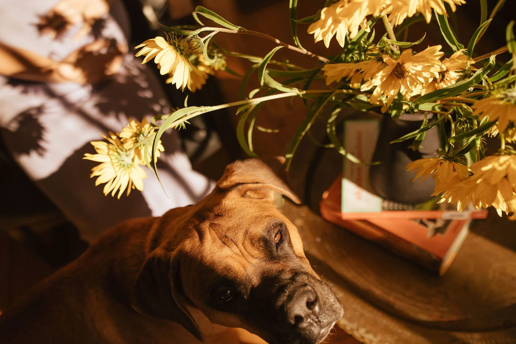 Portland Oregon Family and Maternity Photographer Shannon Weiss (40).jpg