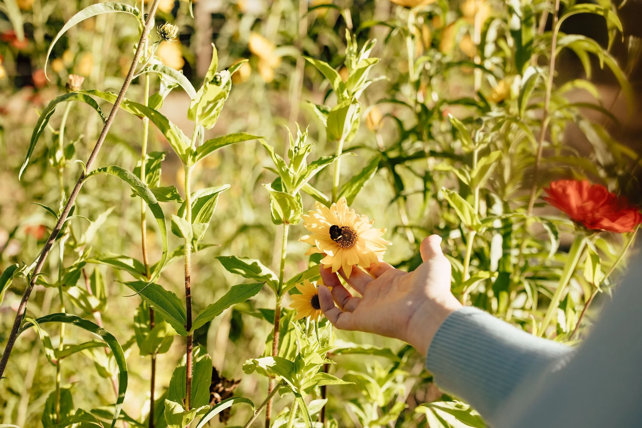 Portland Oregon Family and Maternity Photographer Shannon Weiss (56).jpg