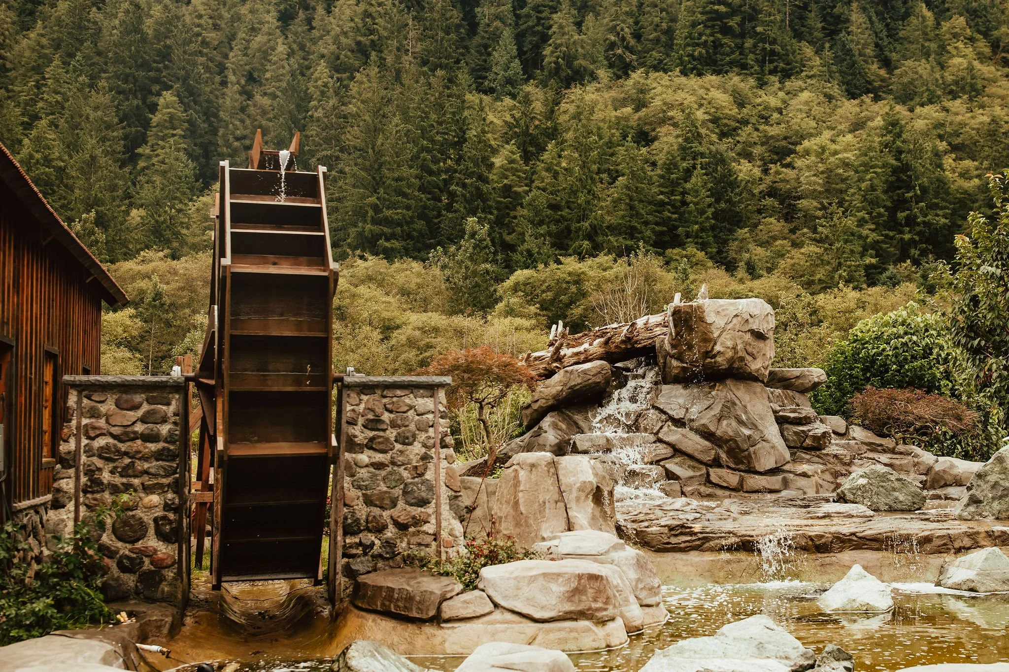 Tillamook Oregon Wedding Hydrangea Ranch (28).jpg