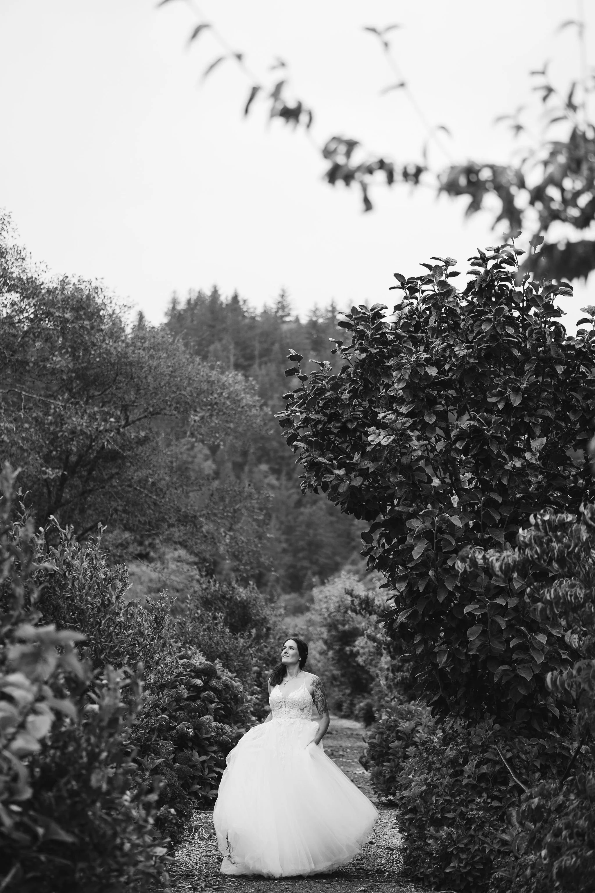 Tillamook Oregon Wedding Hydrangea Ranch (64).jpg