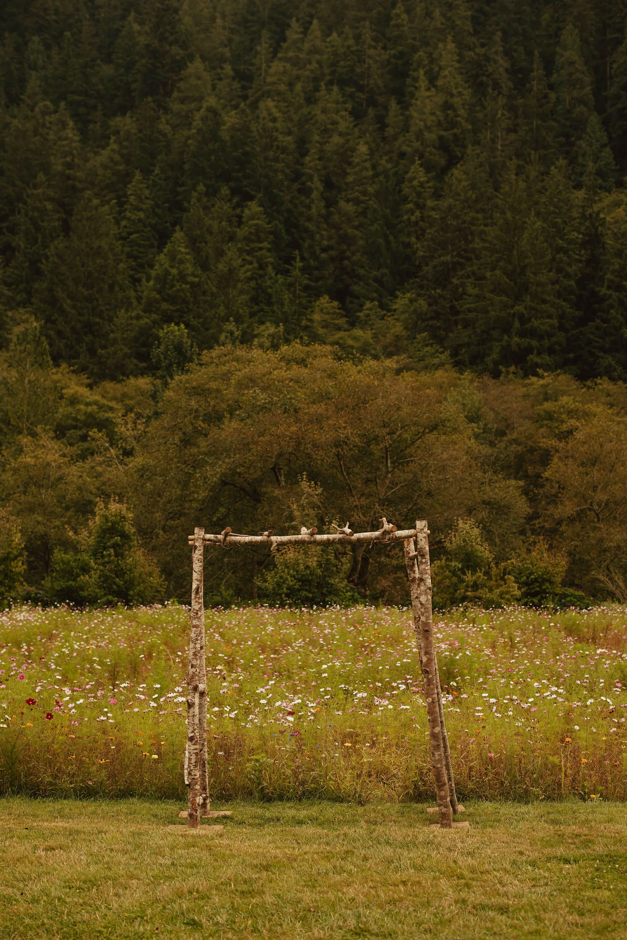 Tillamook Oregon Wedding Hydrangea Ranch (73).jpg