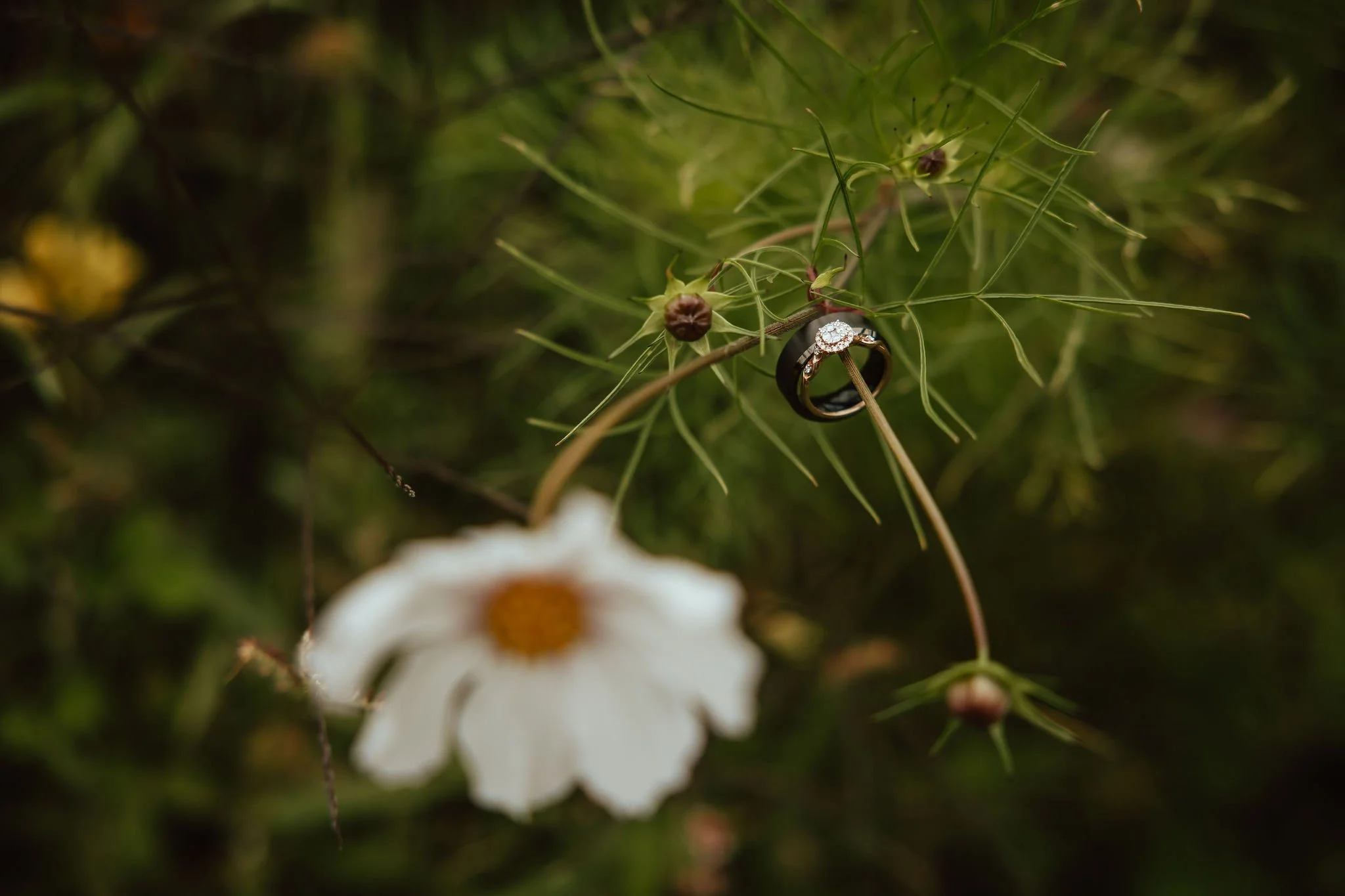Tillamook Oregon Wedding Hydrangea Ranch (100).jpg