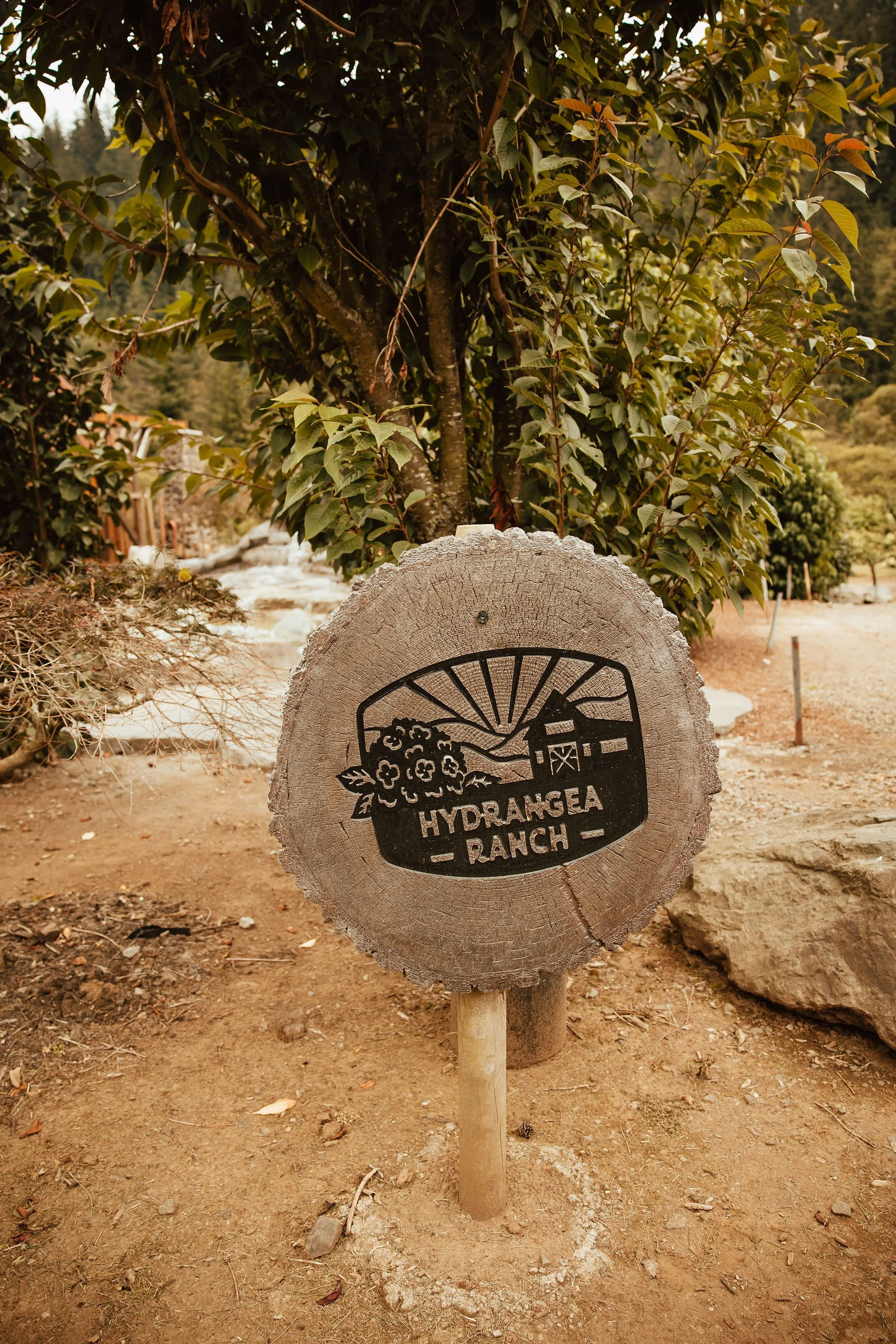 Tillamook Oregon Wedding Hydrangea Ranch (108).jpg