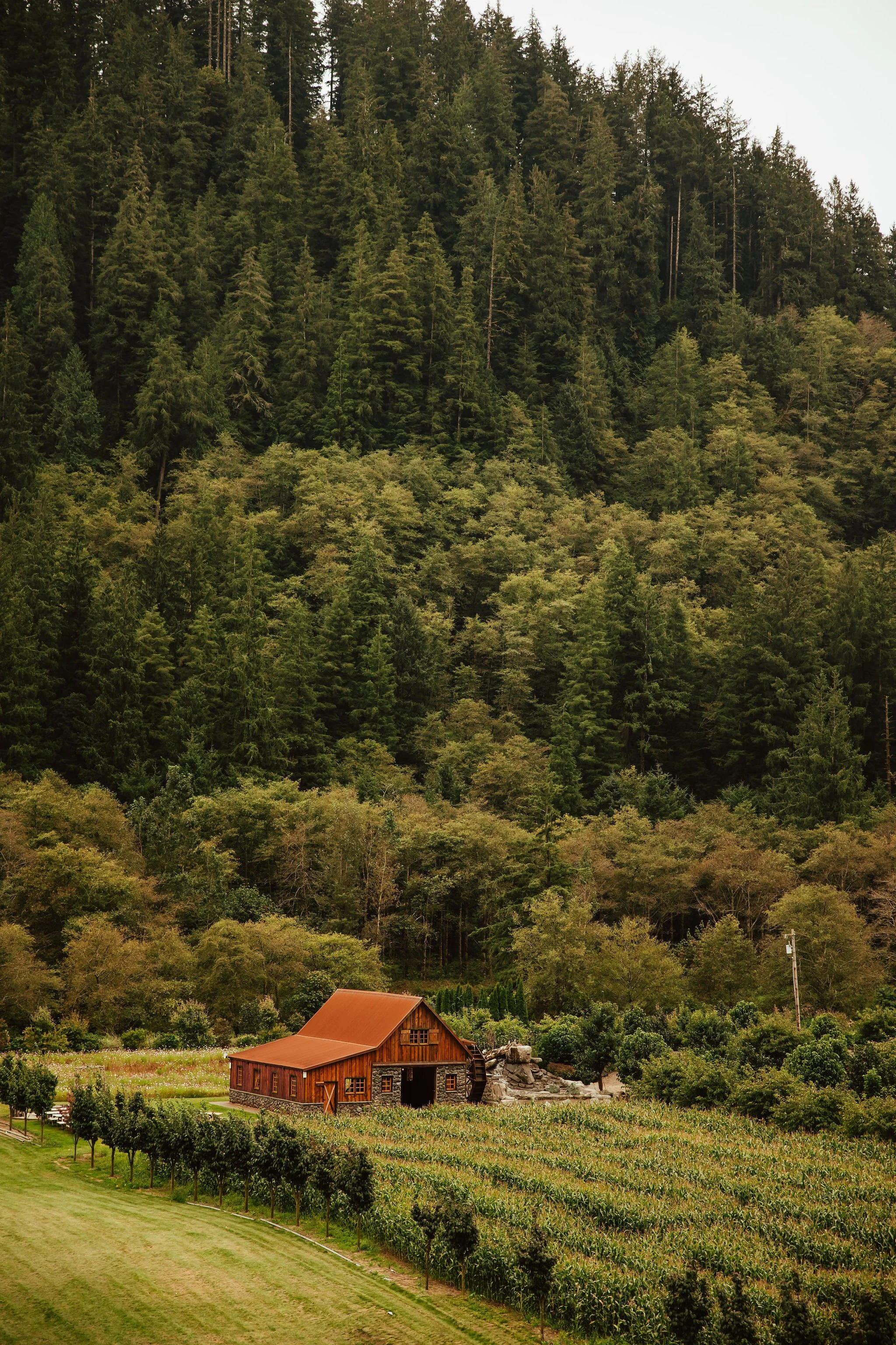 Tillamook Oregon Wedding Hydrangea Ranch (109).jpg