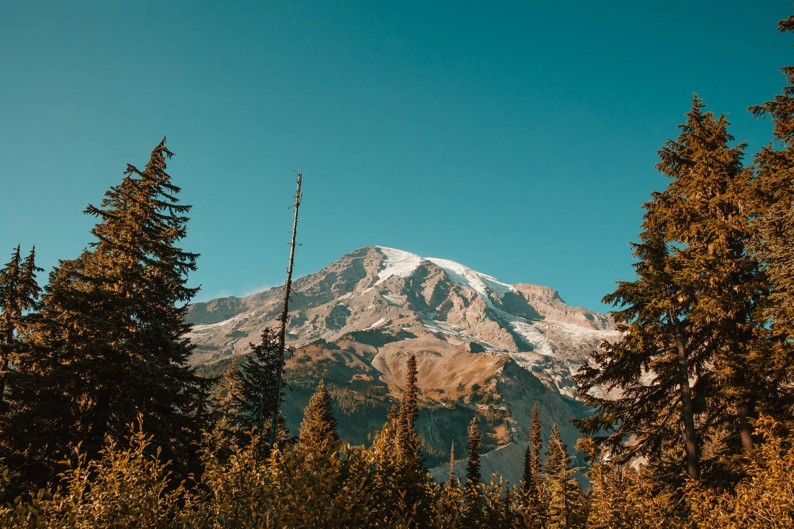 Mt Ranier Senior Photo Session Shannon Weiss Photo (4).jpg