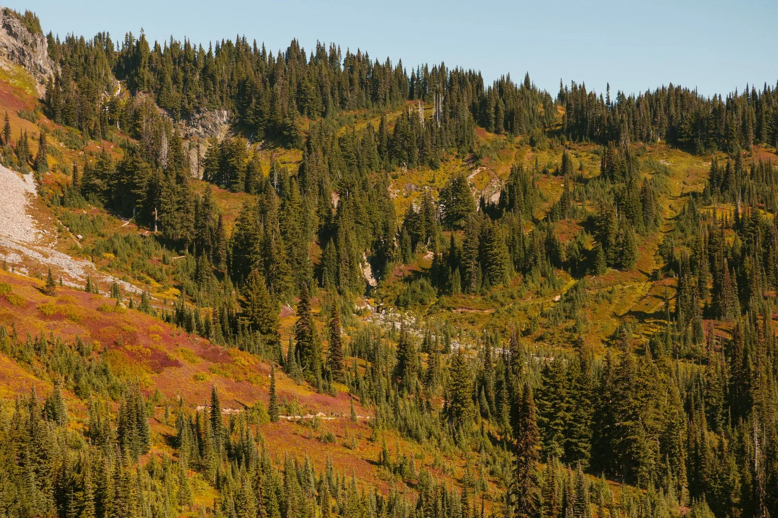 Mt Ranier Senior Photo Session Shannon Weiss Photo (49).jpg