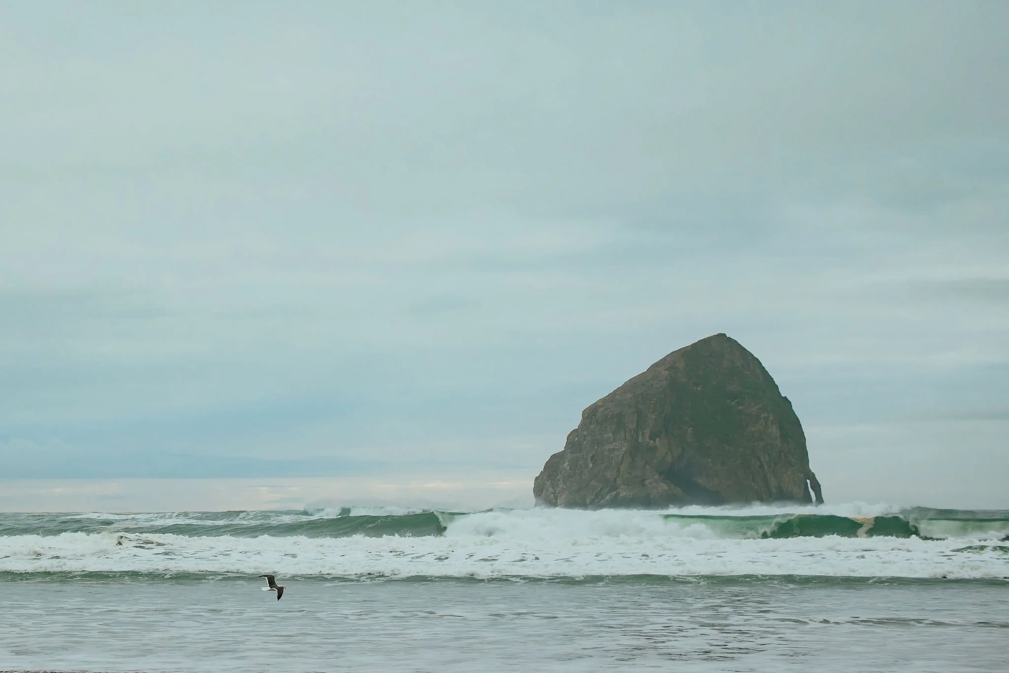 Oregon Coast Senior Phoptographer (51).jpg