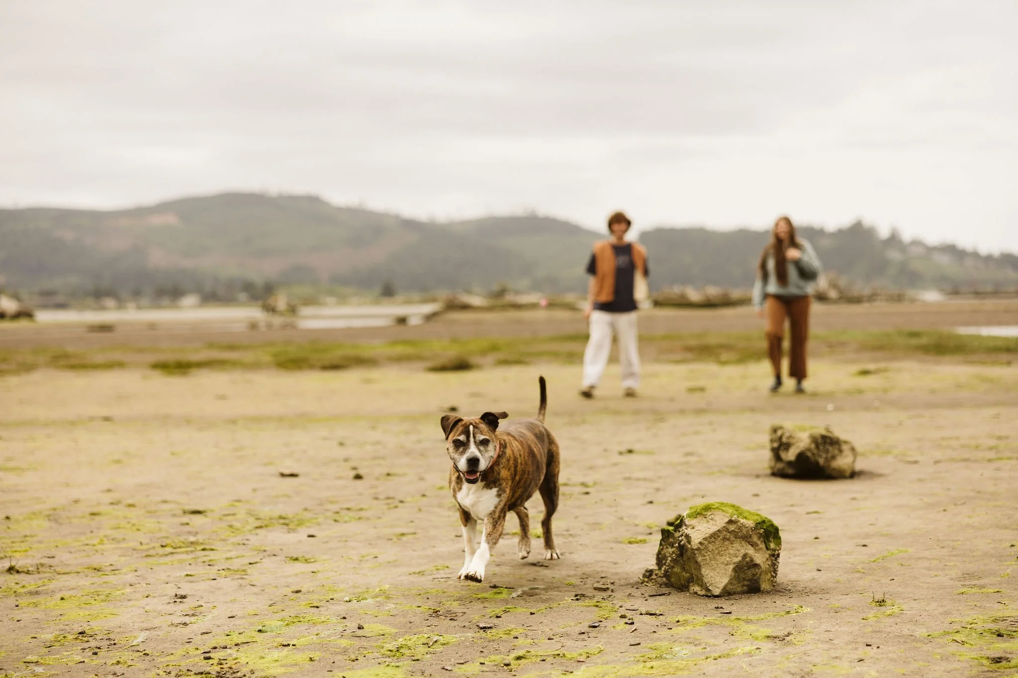 Lincoln City Couples Photographer Shannon Weiss Photo (66).jpg