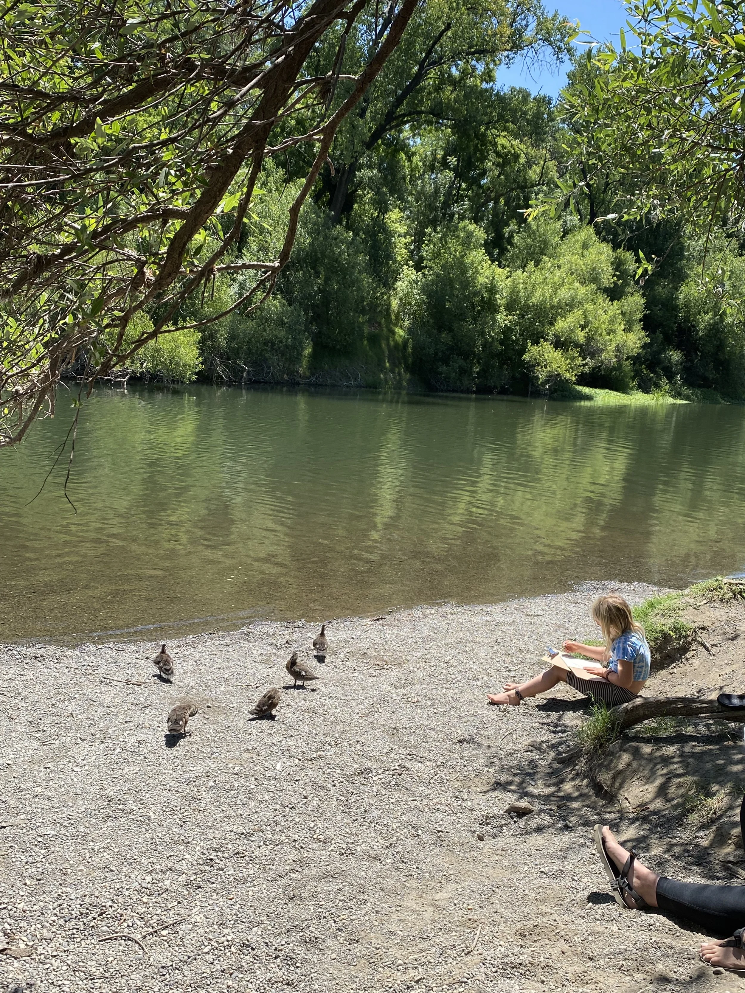 Week 1 - Steelhead Beach