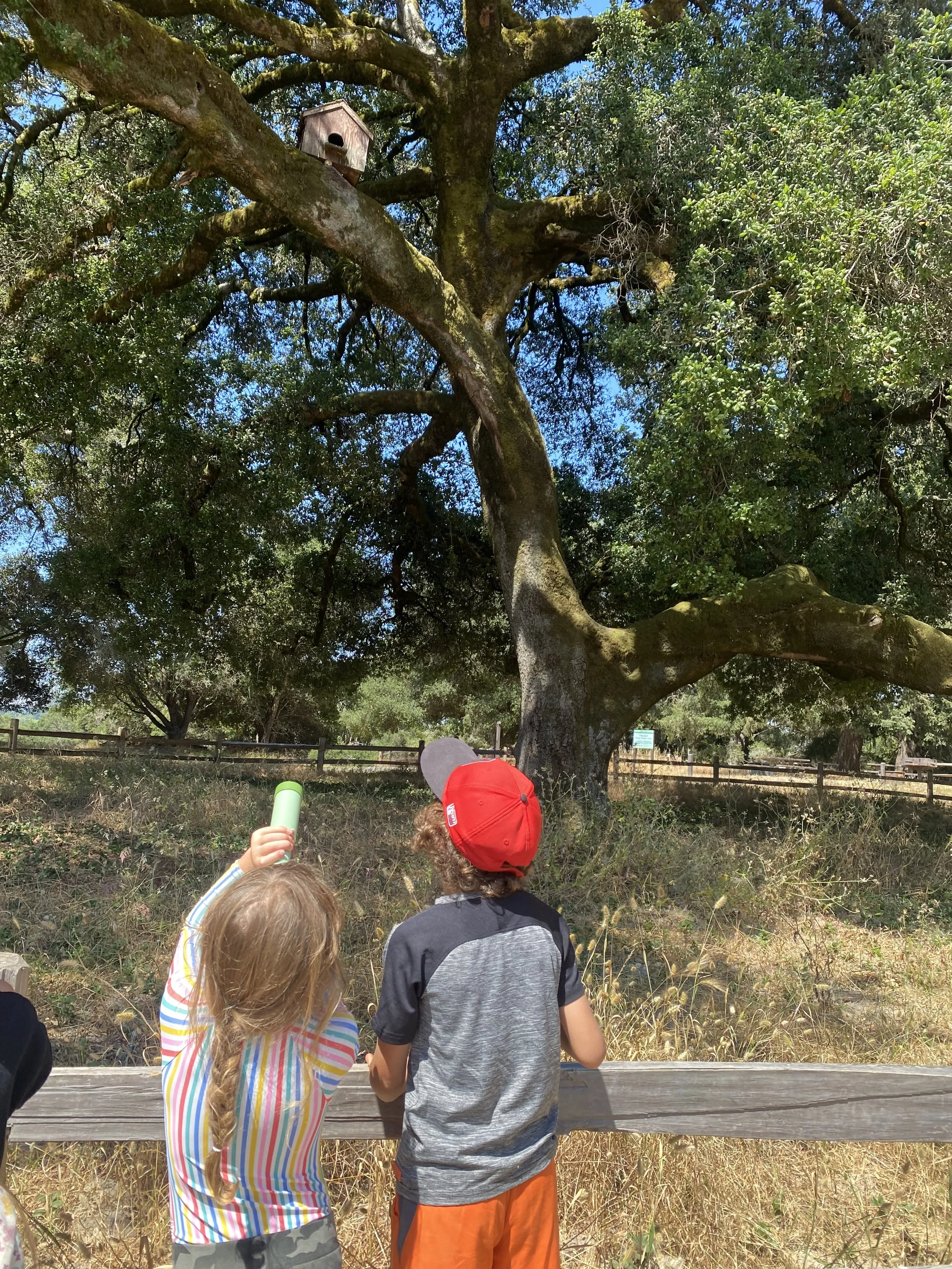 Week 2 - Ragle Ranch