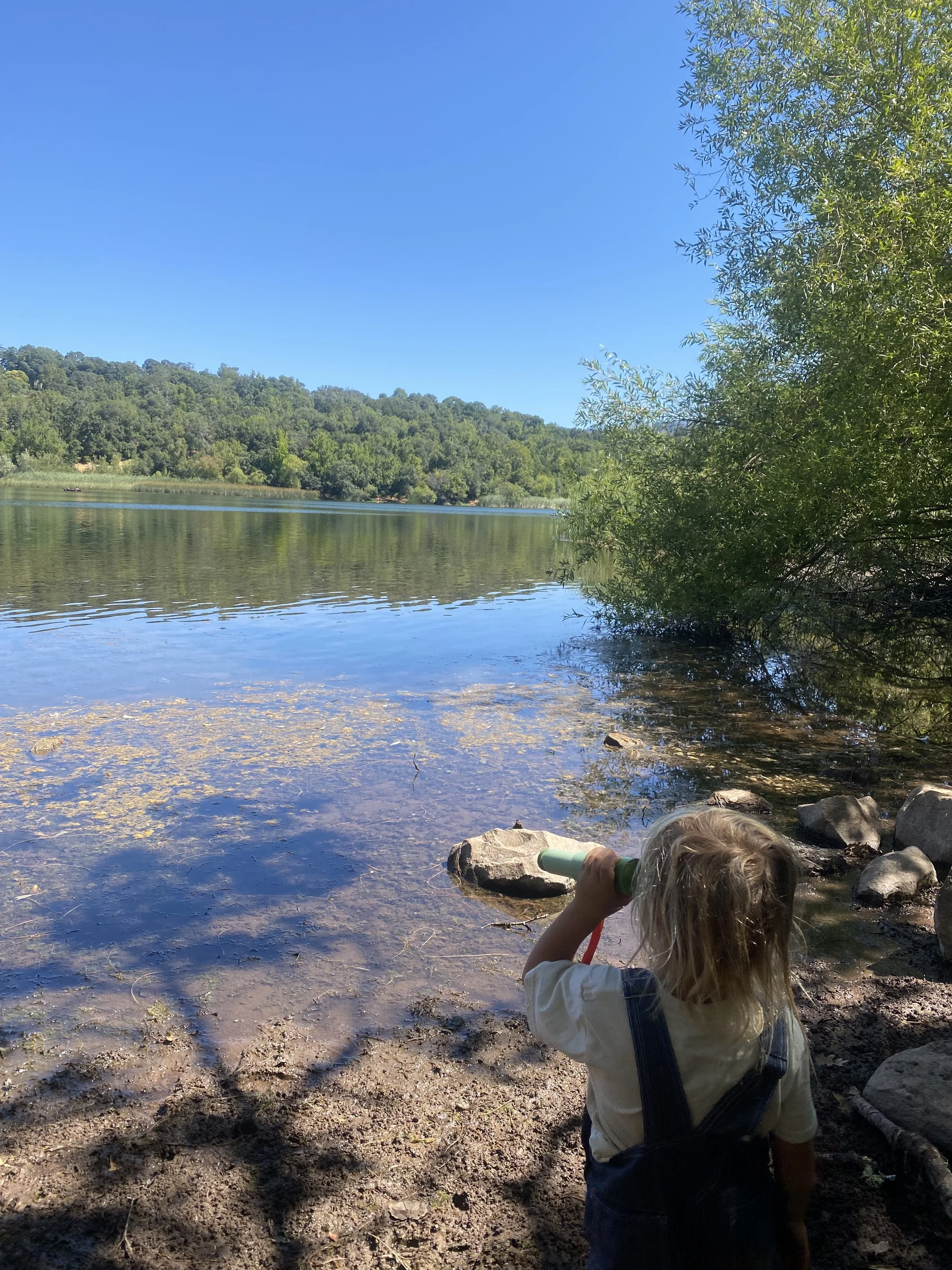 Week 5 - Howarth Park