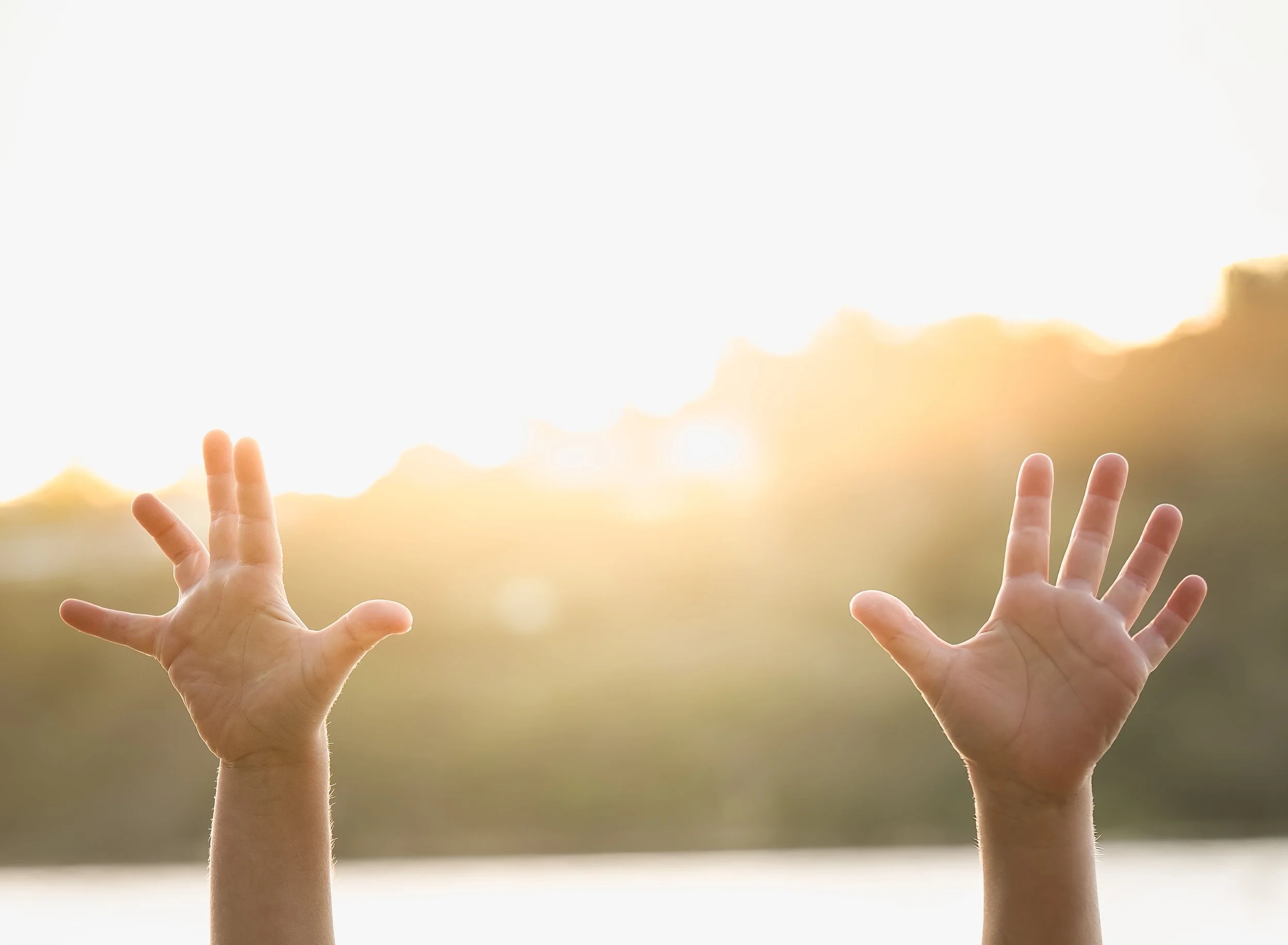 A Design Creativ_Gauci-Smith Family 2025-15.jpg