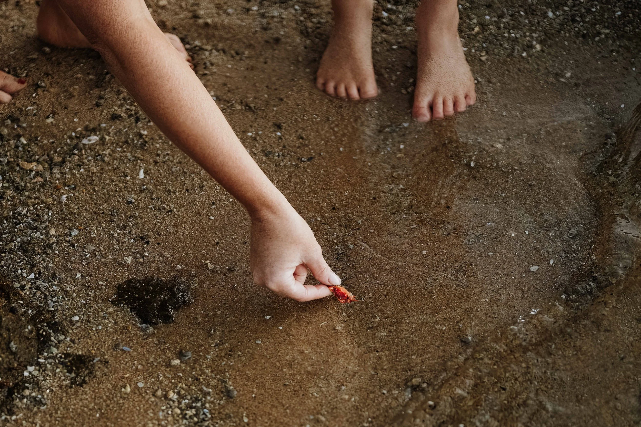 A Design Creativ_Gauci-Smith Family 2025-76.jpg